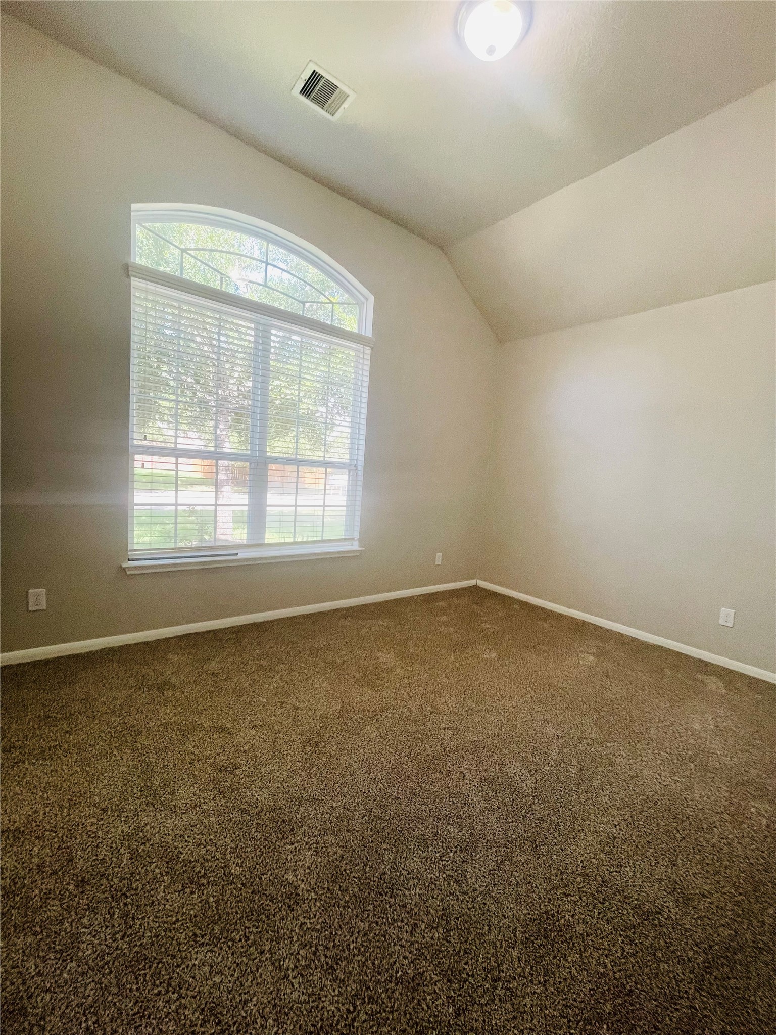 4702 Sedgewood Drive Property Photo 15