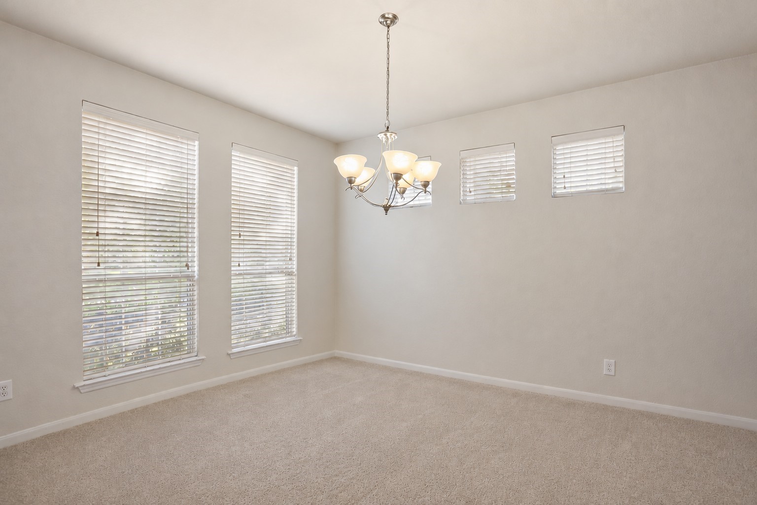 31 Ginger Springs Place Property Photo 6