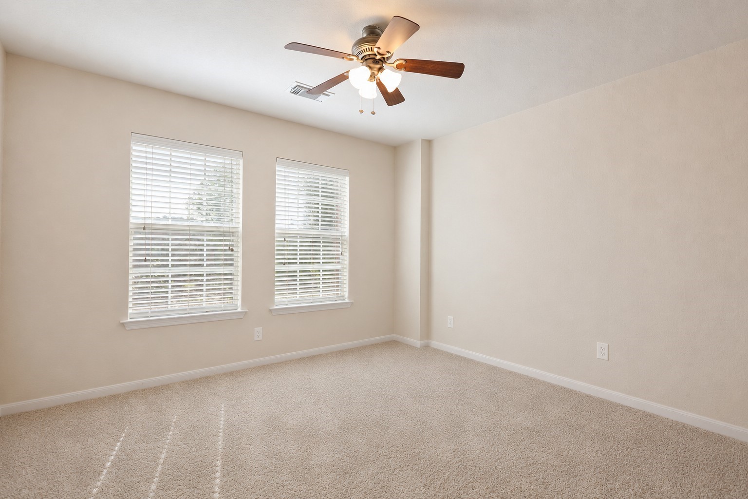 31 Ginger Springs Place Property Photo 14