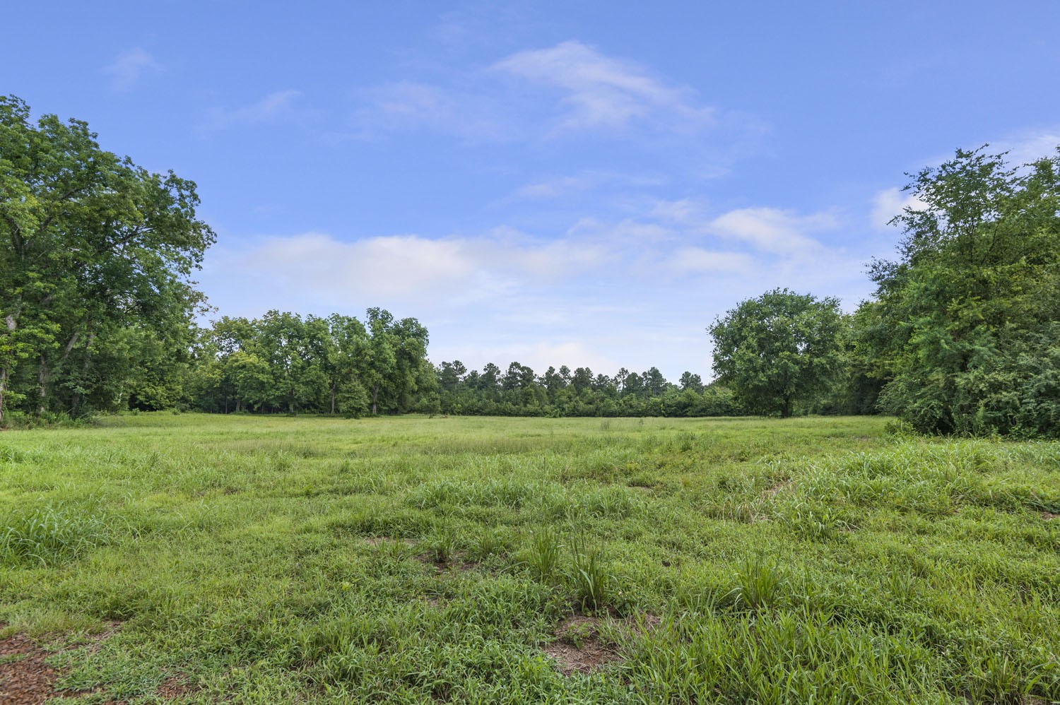 Tbd- Lot 3 County Road 2801 Property Photo