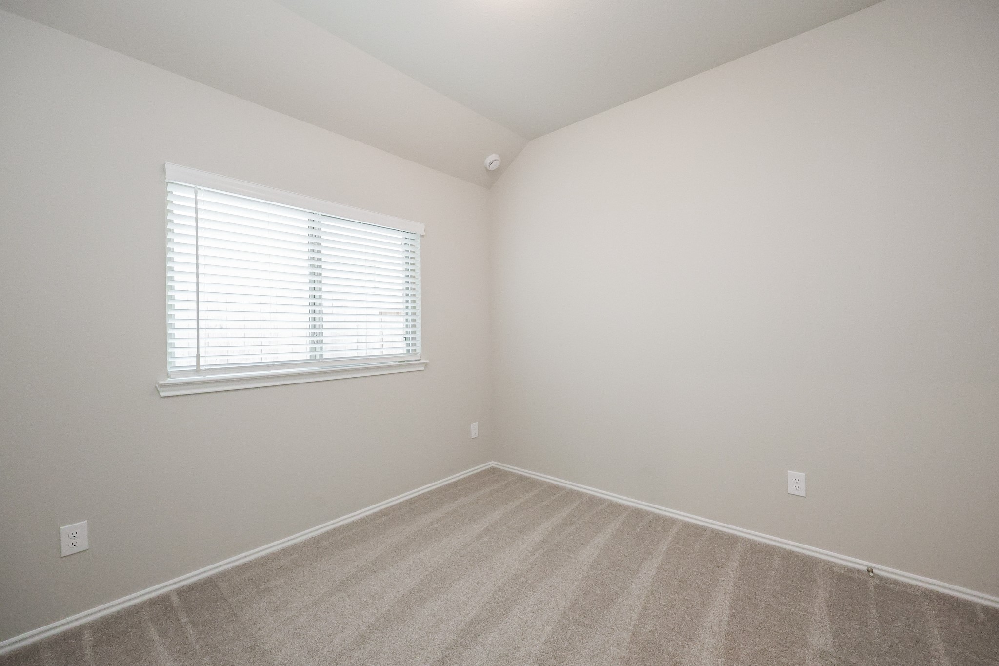 110 Candlelight Ridge Court Property Photo 20