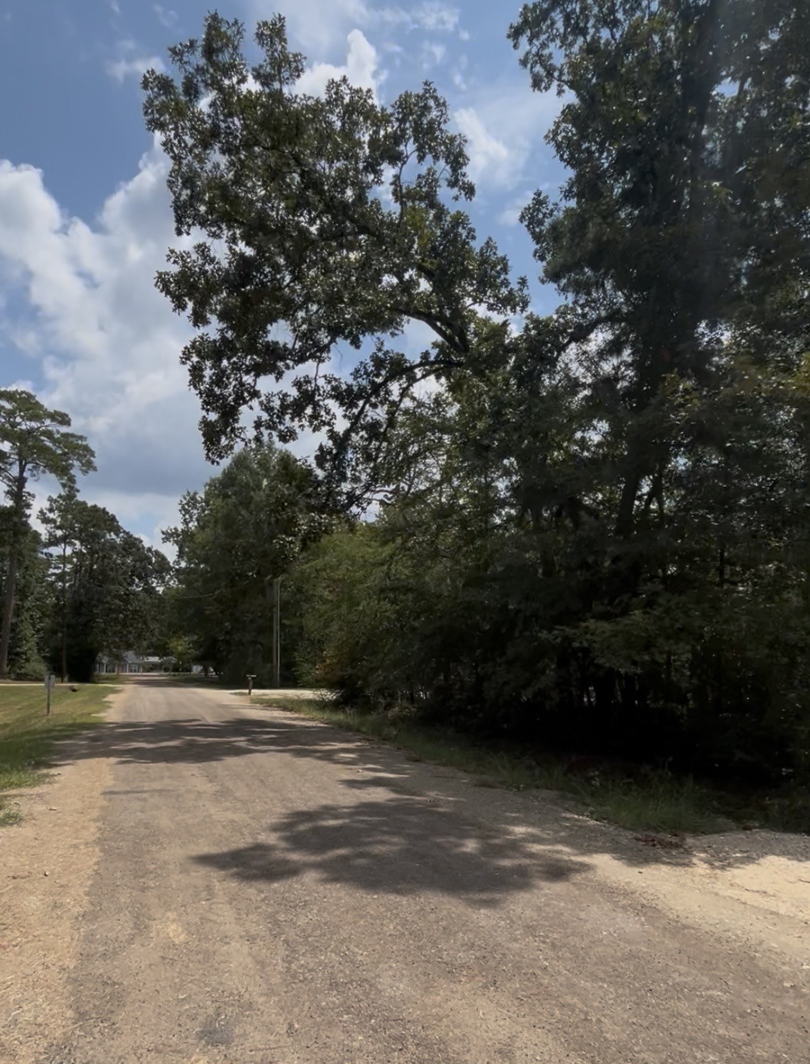 Tbd Mistletoe Property Photo 10
