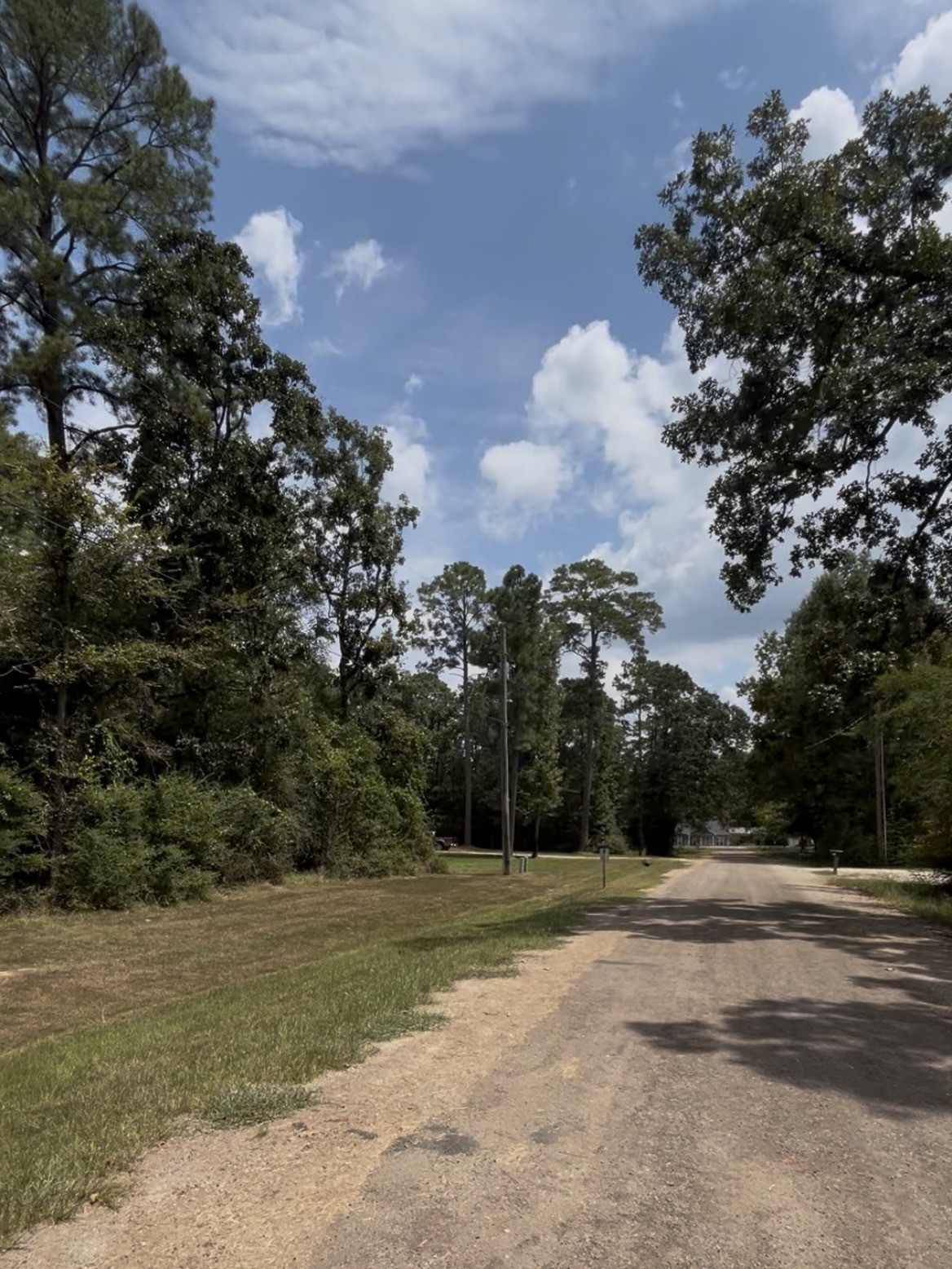 Tbd Mistletoe Property Photo 11