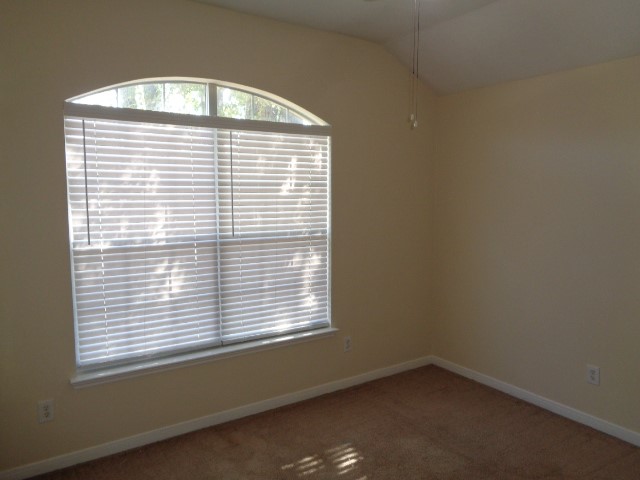 30034 Saw Oaks Drive Property Photo 8