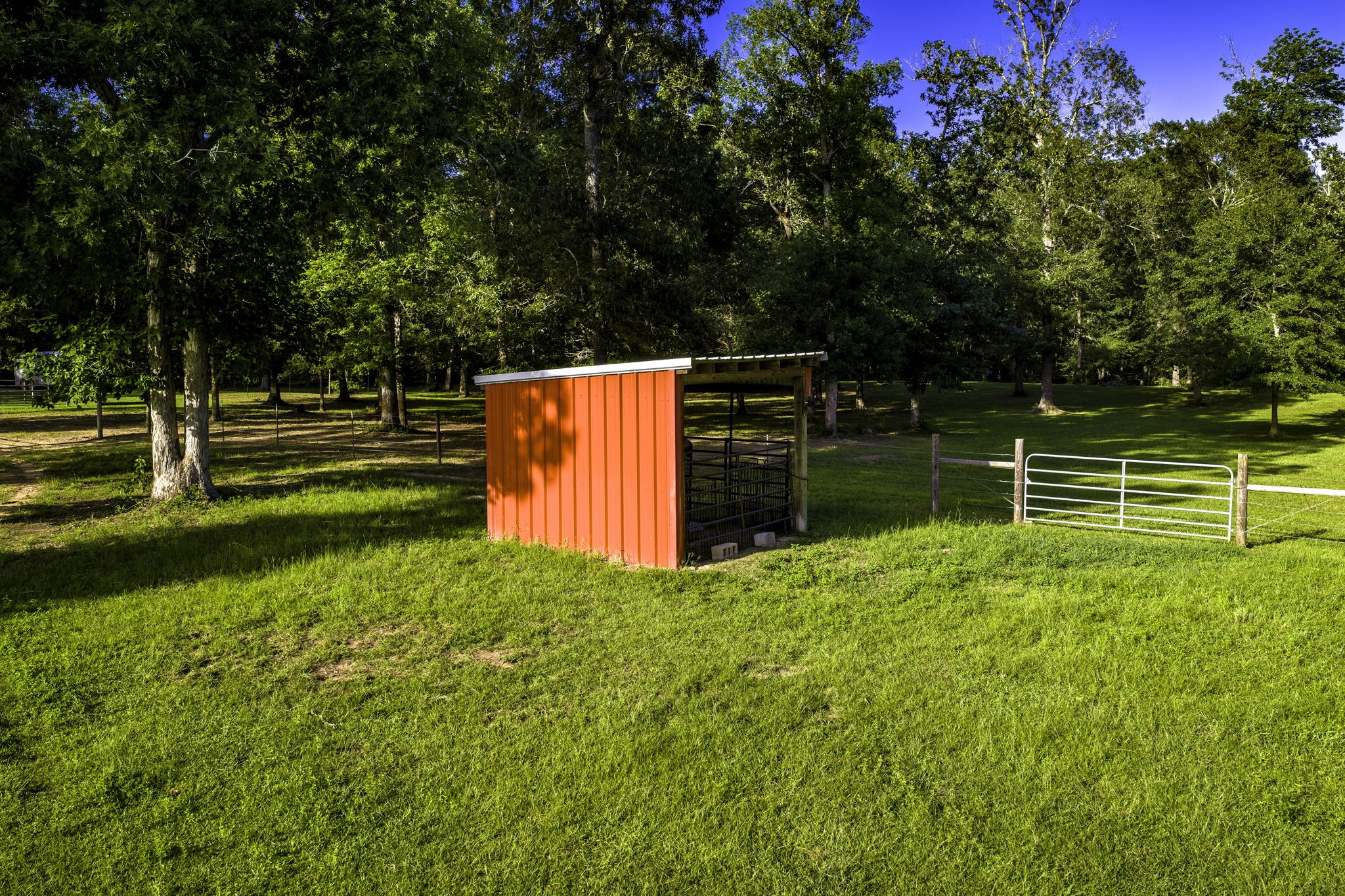 1109 Soda Loop E Property Photo 47