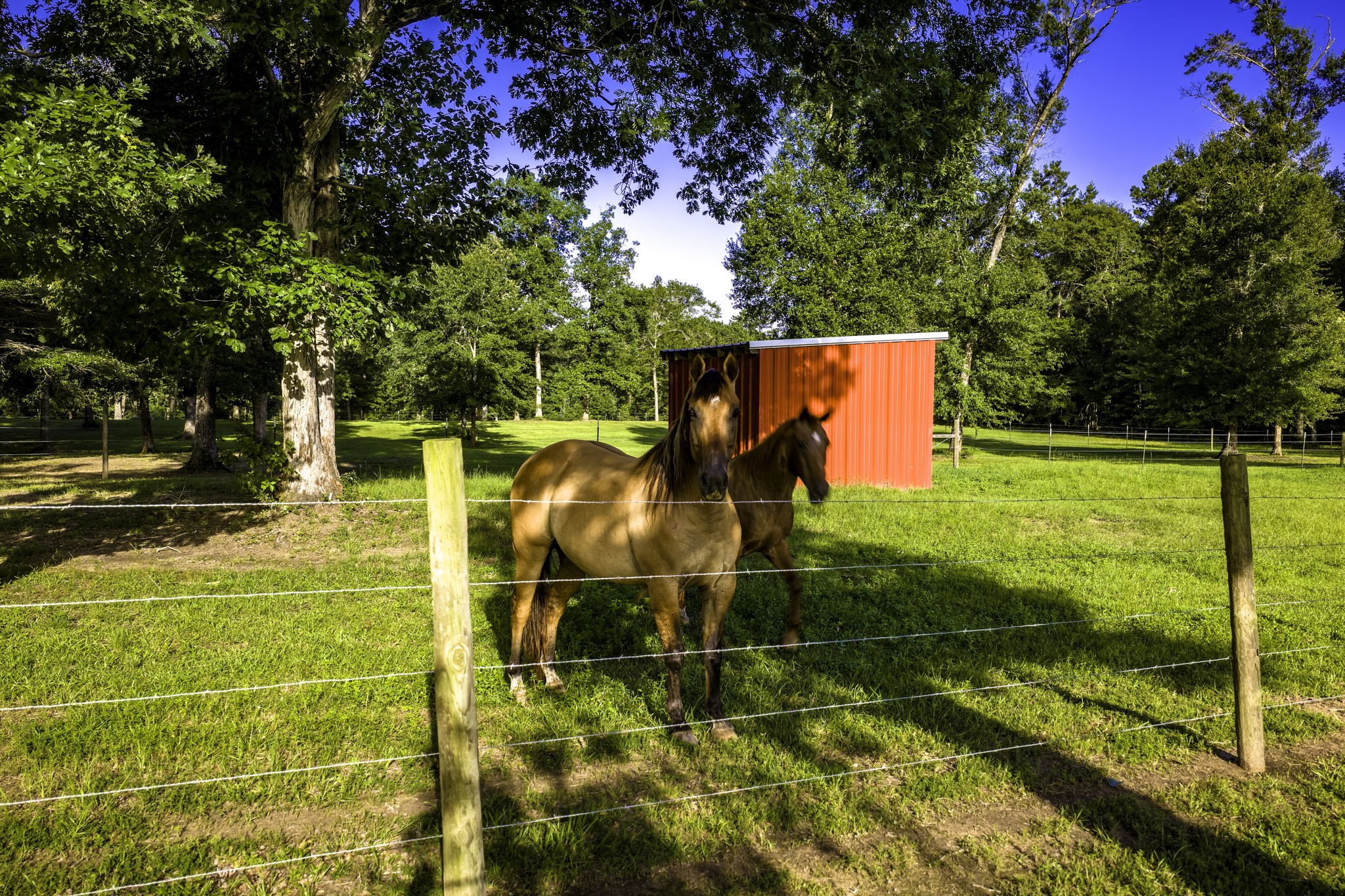 1109 Soda Loop E Property Photo 48