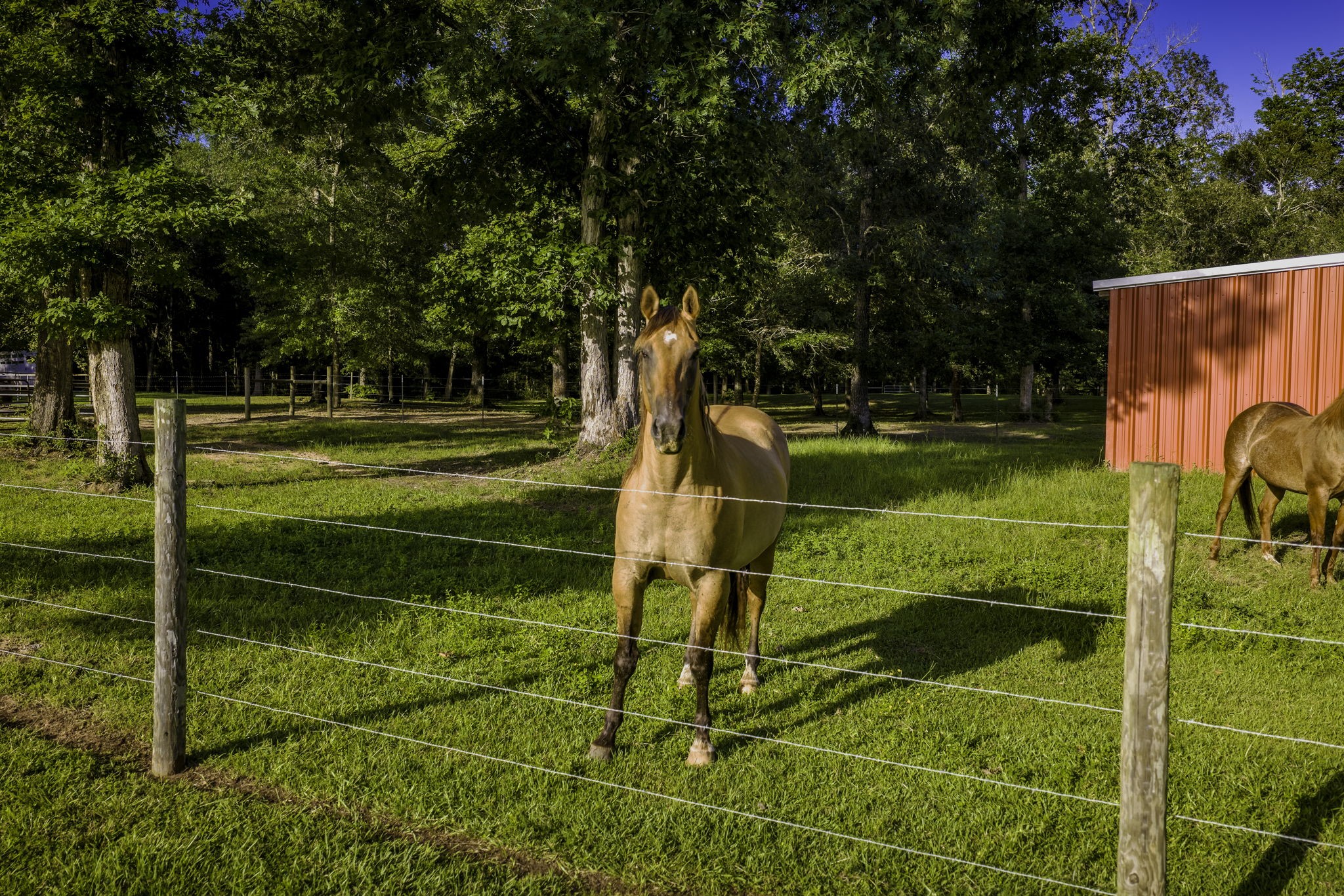 1109 Soda Loop E Property Photo 49
