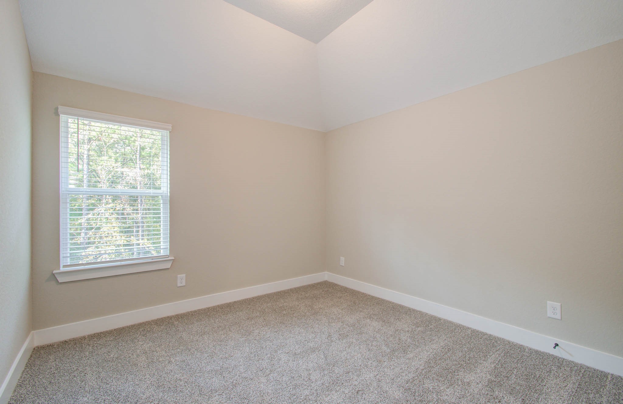 9950 Wild Indigo Circle Property Photo 38