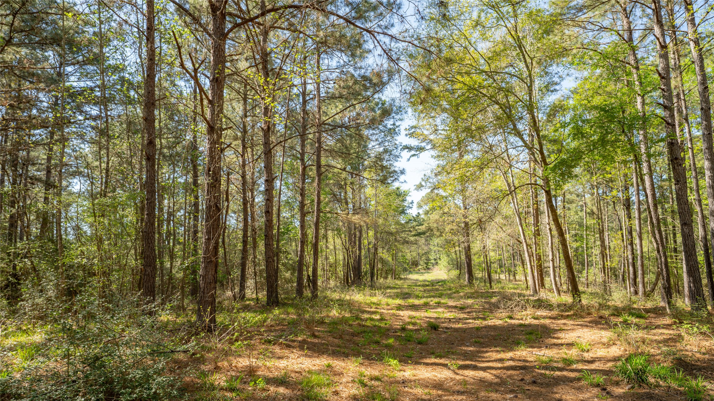 000 Bighorn Road Property Photo 7