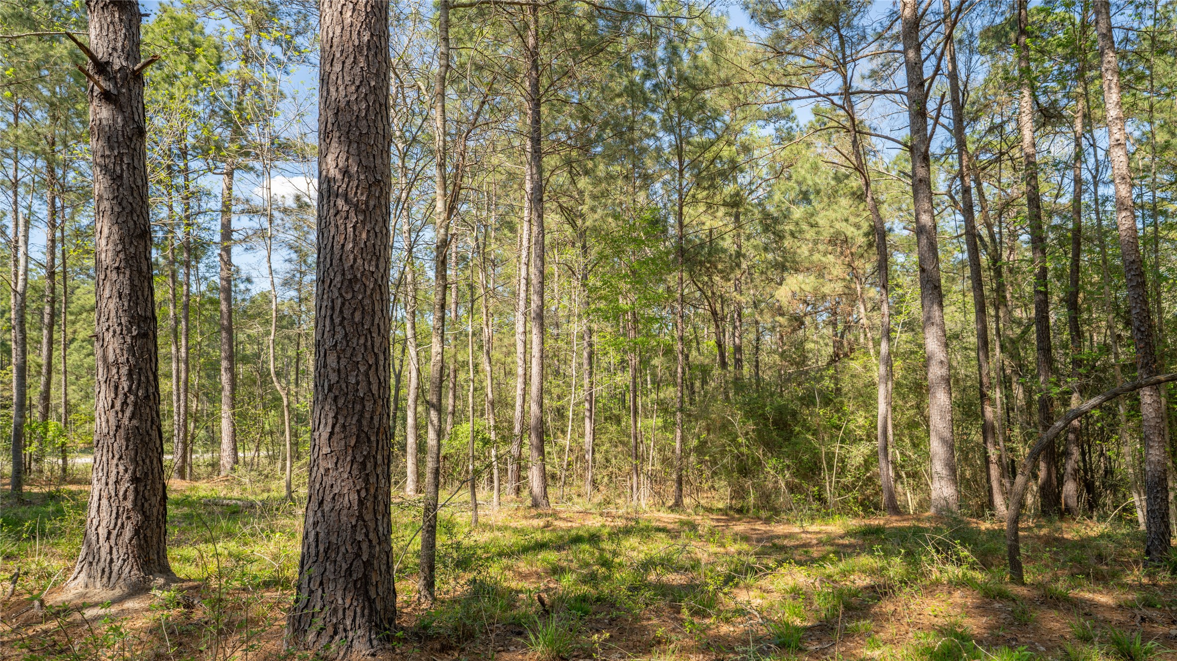 000 Bighorn Road Property Photo 10