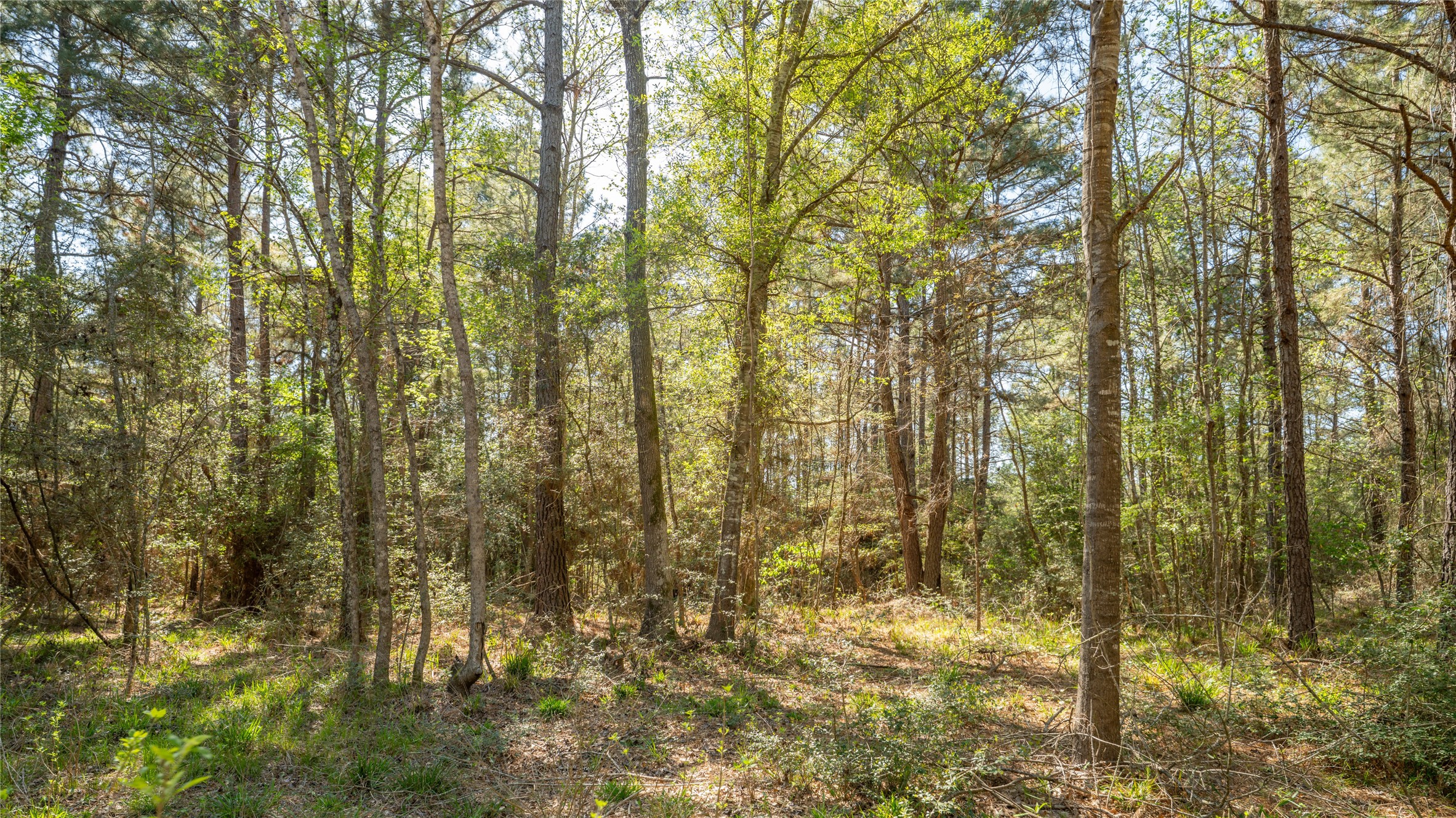 000 Bighorn Road Property Photo 12