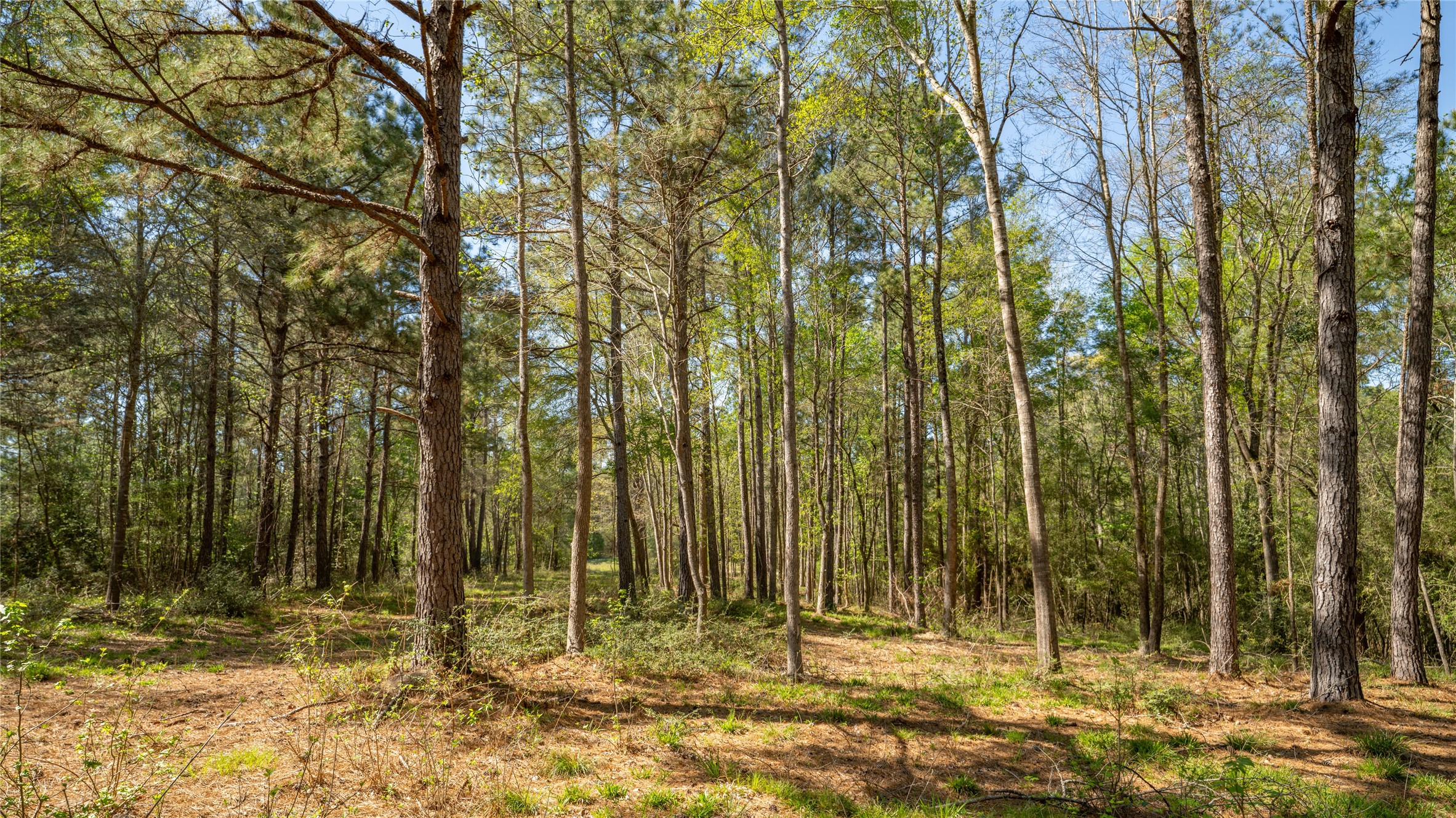 000 Bighorn Road Property Photo 13