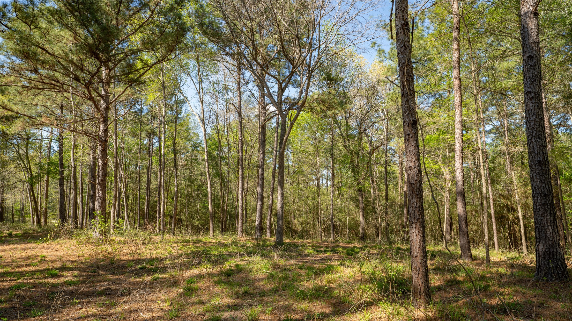 000 Bighorn Road Property Photo 14