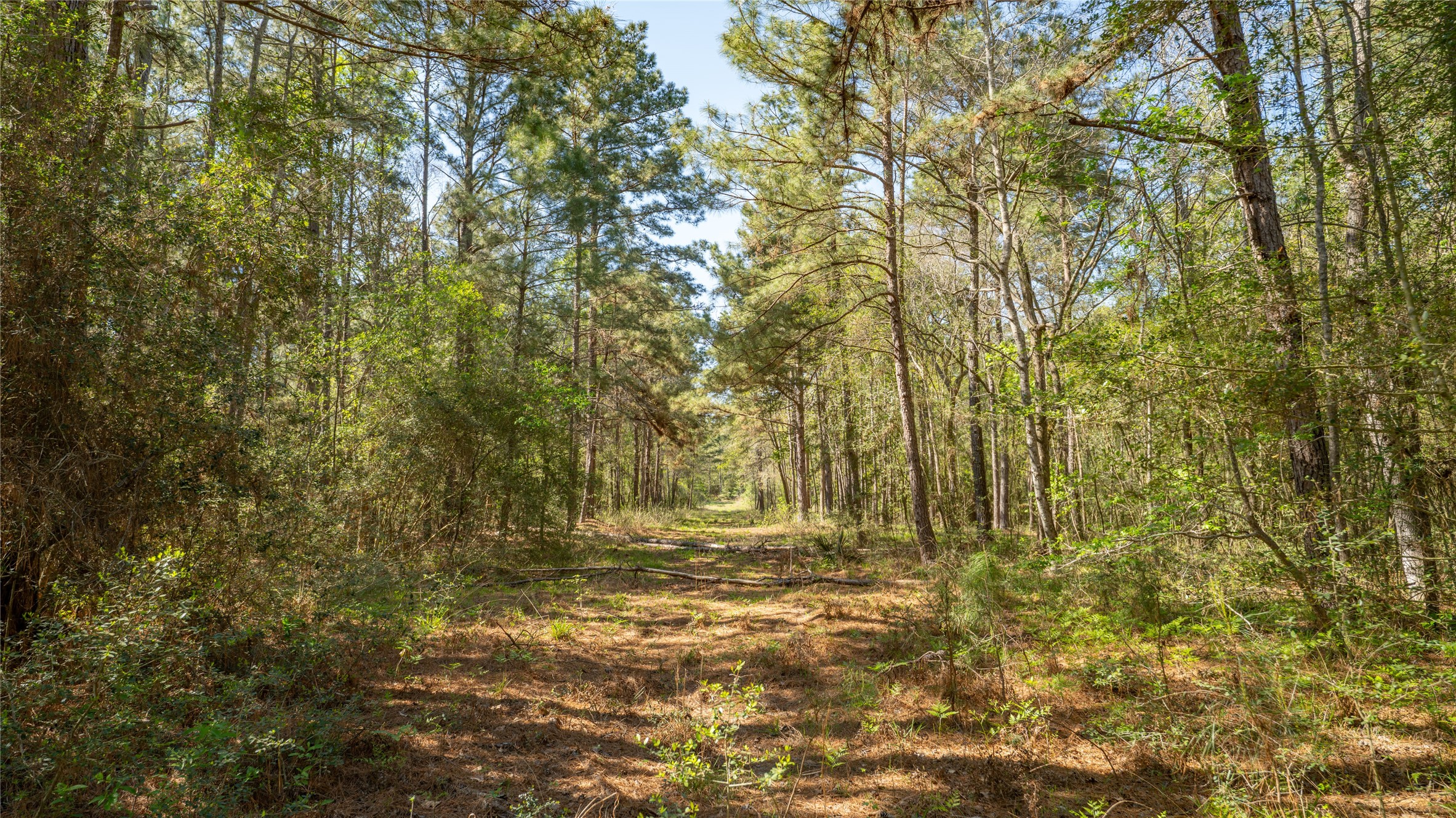 000 Bighorn Road Property Photo 15