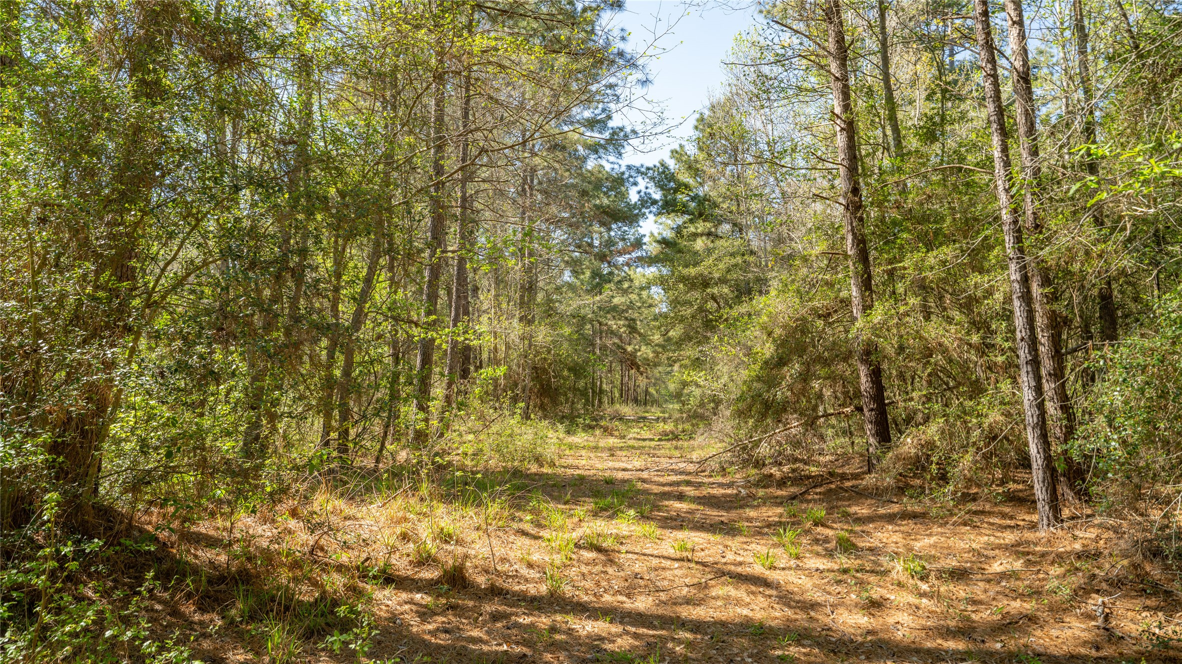 000 Bighorn Road Property Photo 16