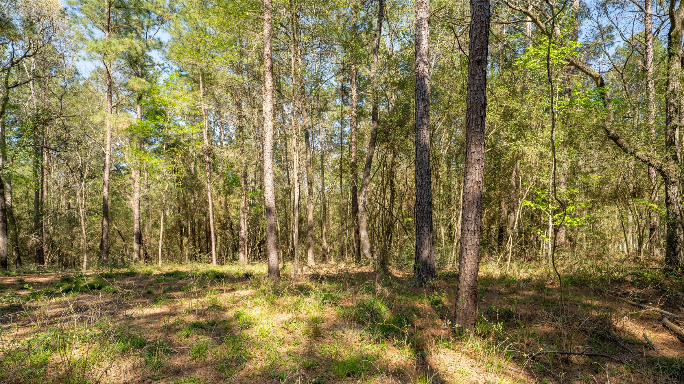 000 Bighorn Road Property Photo 17