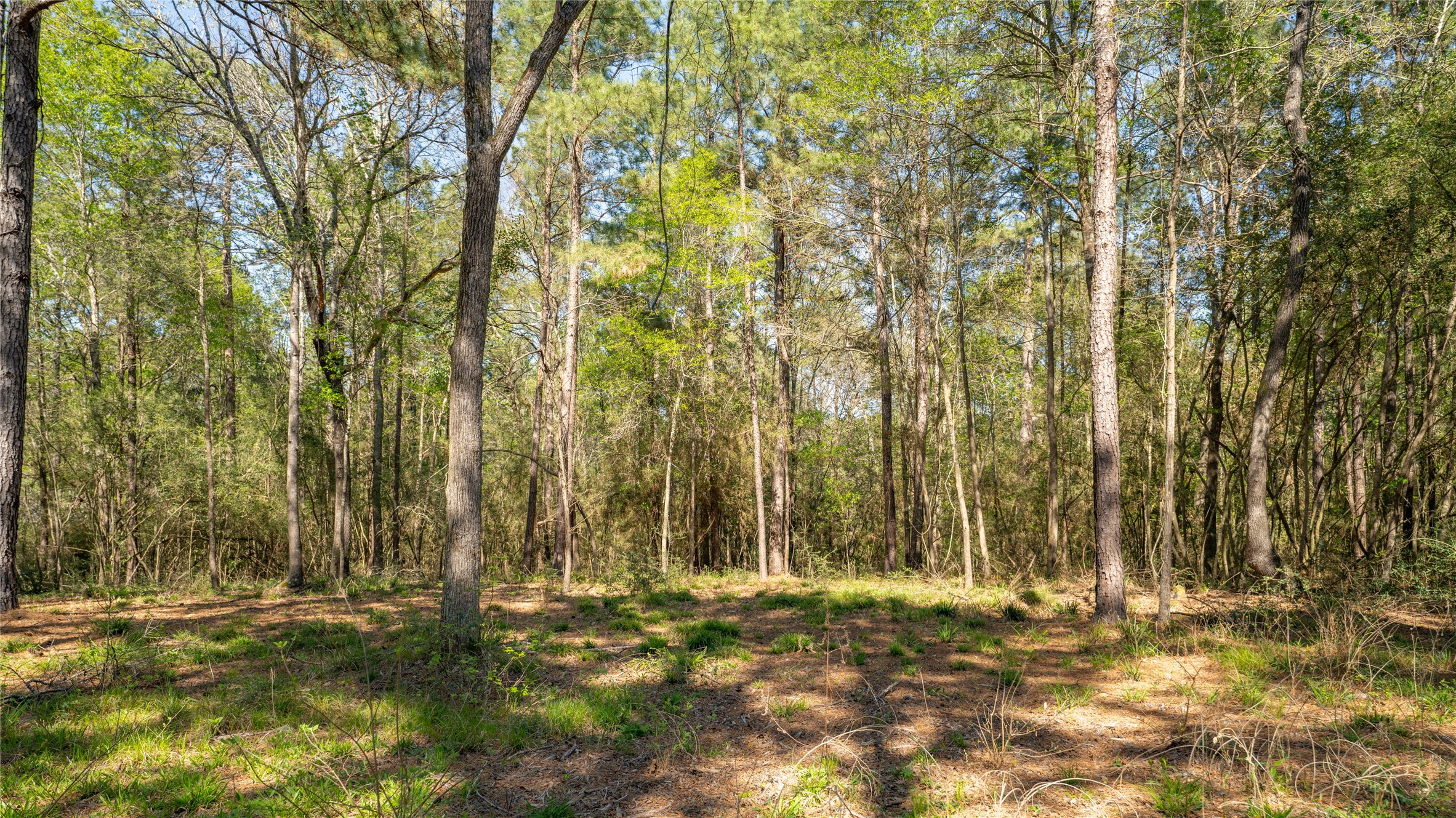 000 Bighorn Road Property Photo 18