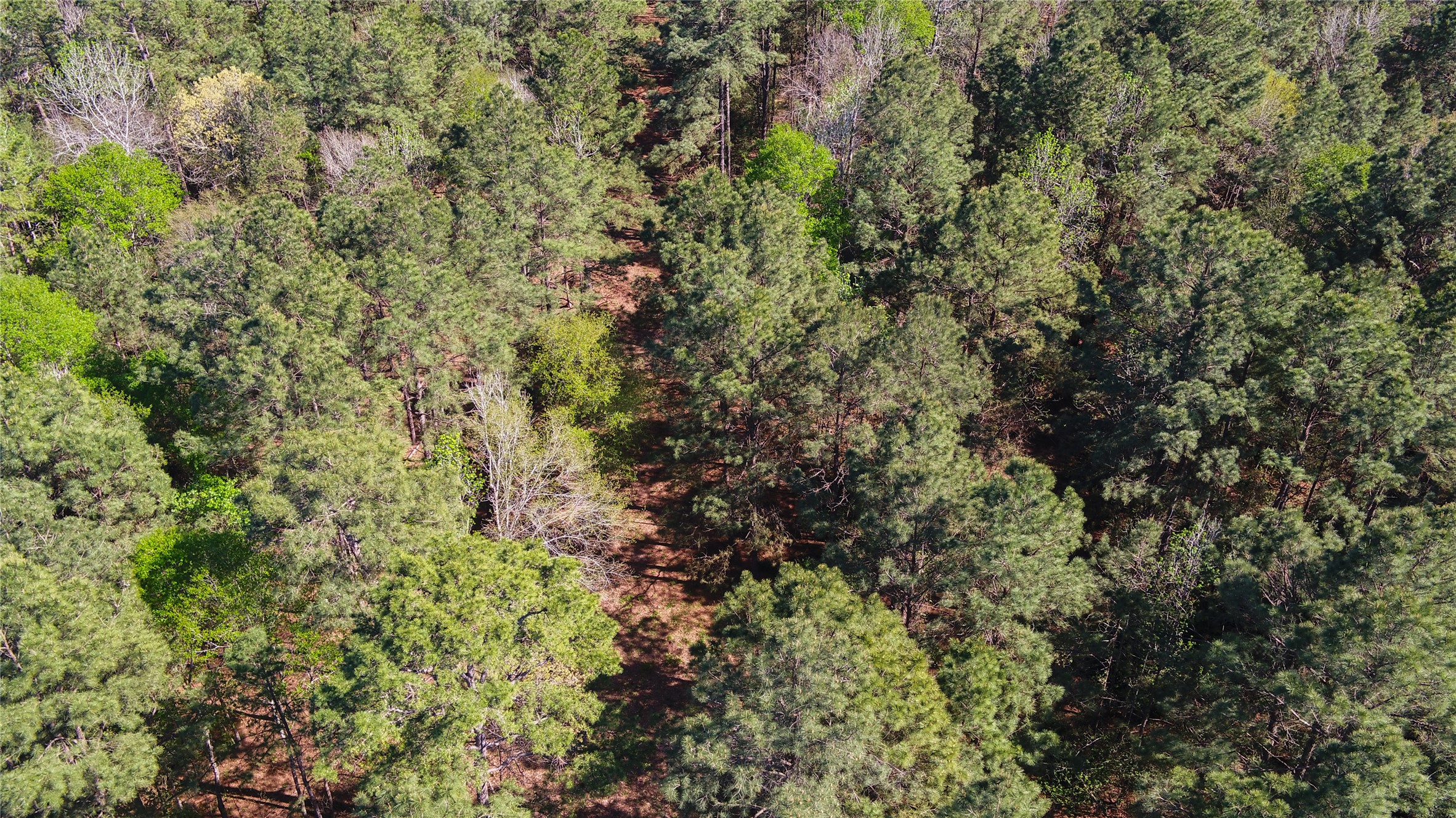 000 Bighorn Road Property Photo 28