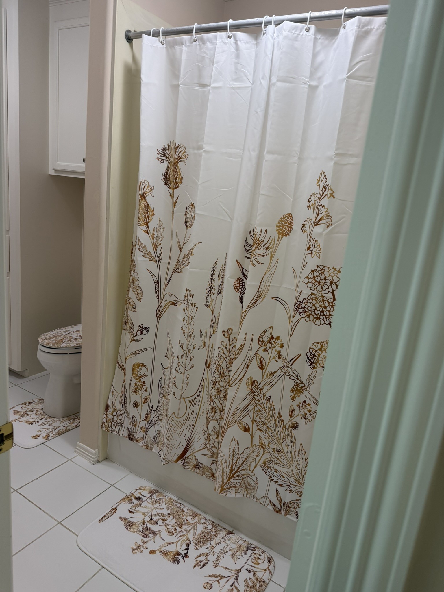 10 Lake Mist Court Property Photo 35