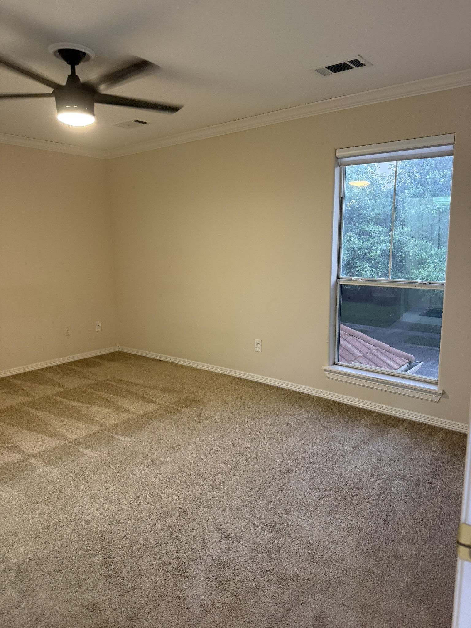 10 Lake Mist Court Property Photo 36