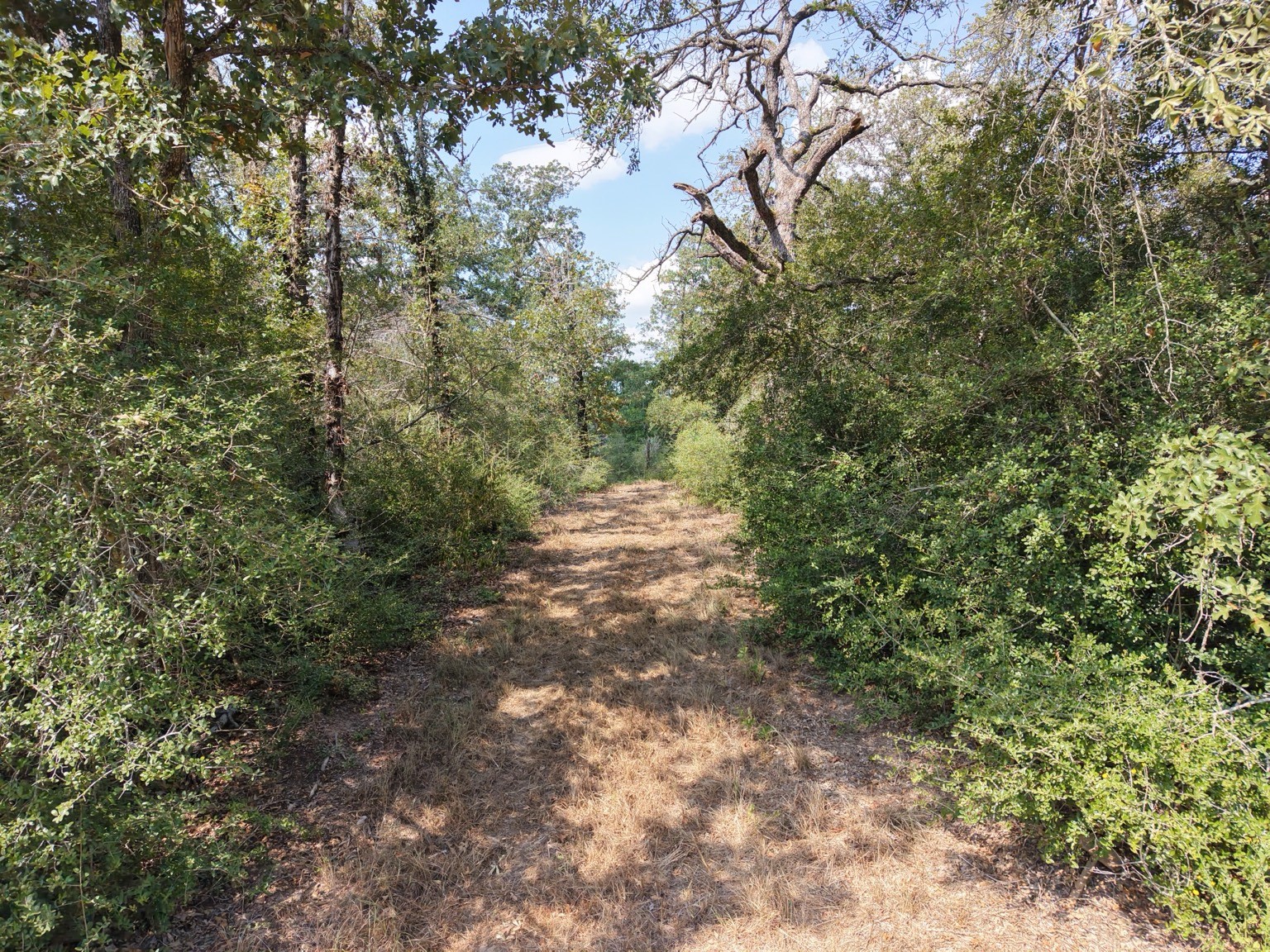 10469 County Road 302 Property Photo 26