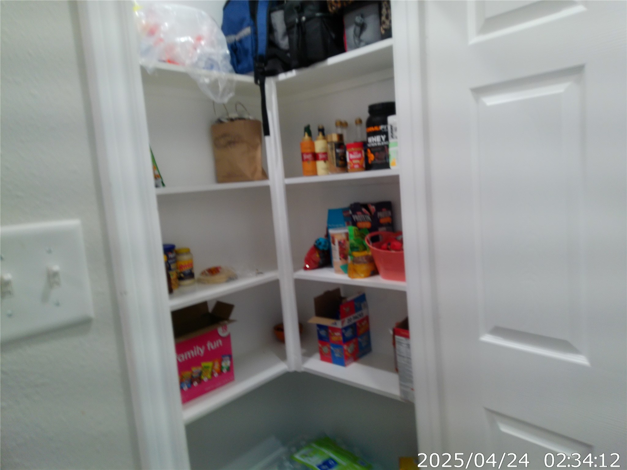 1027 Wallace Street Property Photo 36