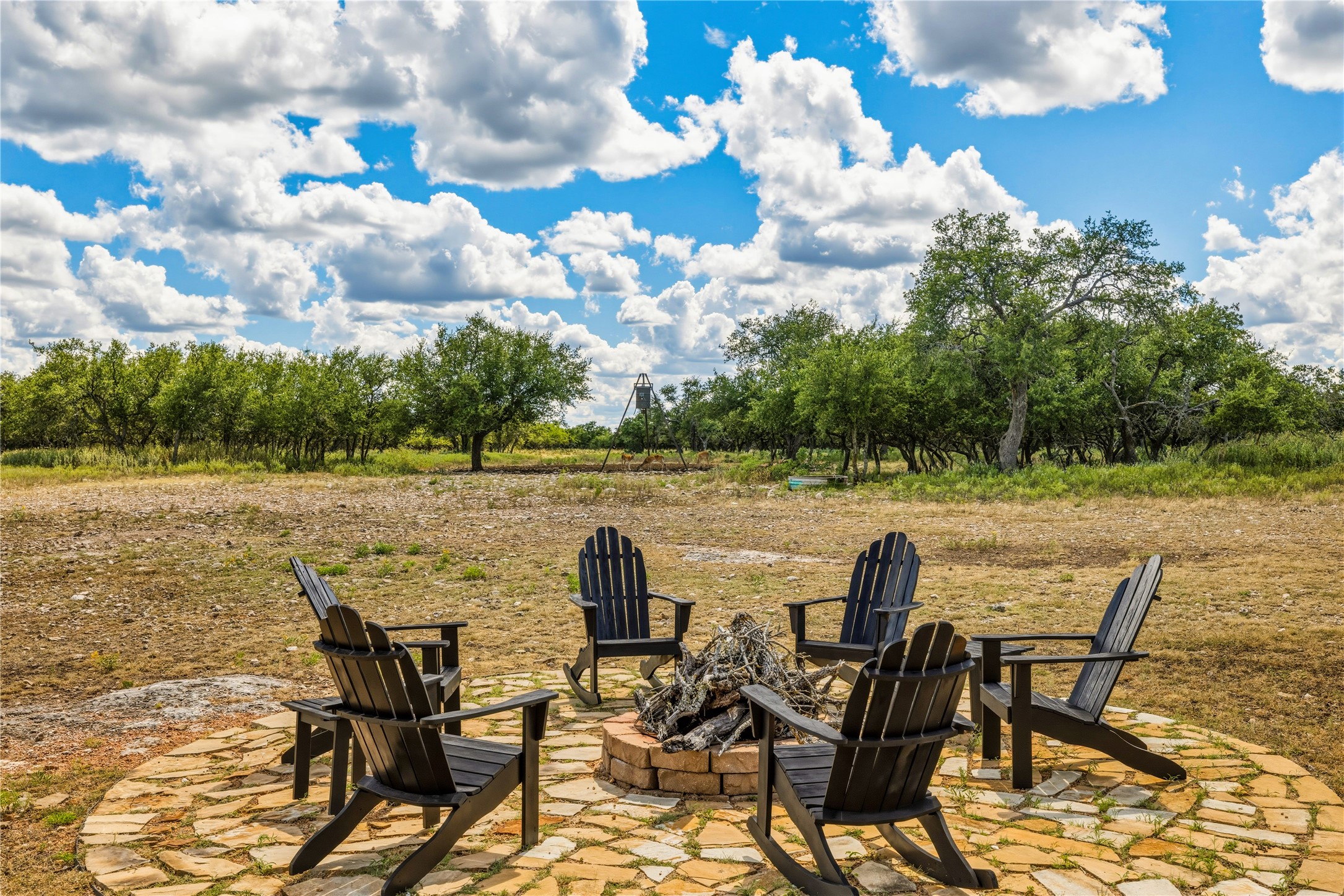 11271 Us Hwy 290 Property Photo 38