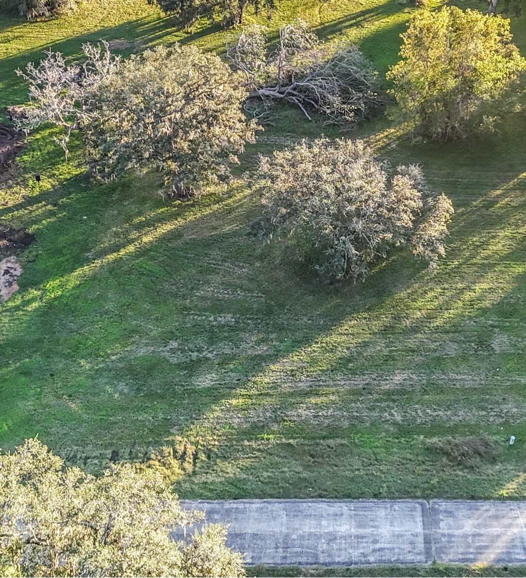 381 Horse Shoe Trail Property Photo 7