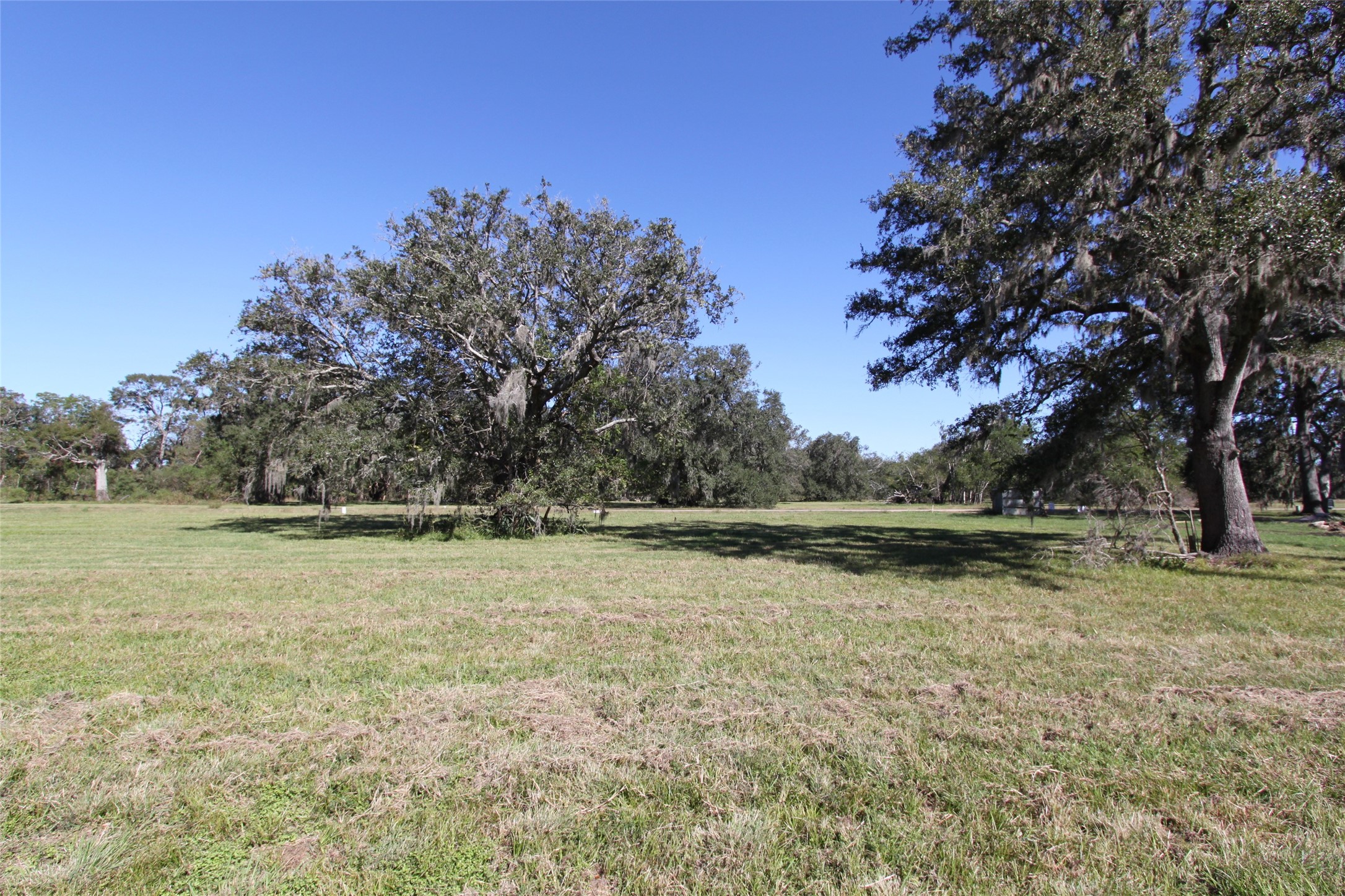 381 Horse Shoe Trail Property Photo 8