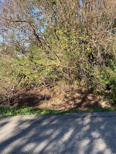 0 Cartersville Street Property Photo 6