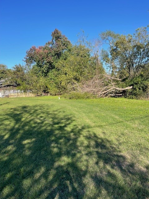 0 Cartersville Street Property Photo 8