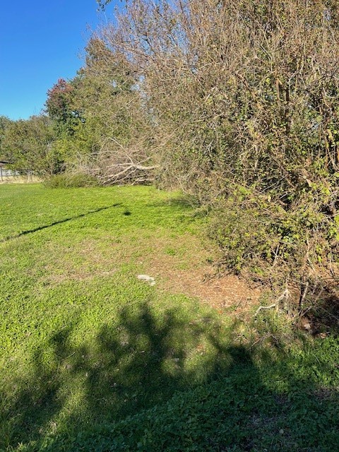 0 Cartersville Street Property Photo 11