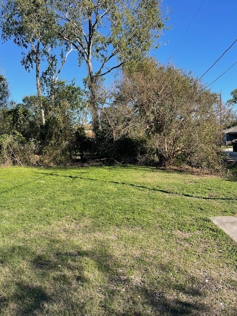 0 Cartersville Street Property Photo 14