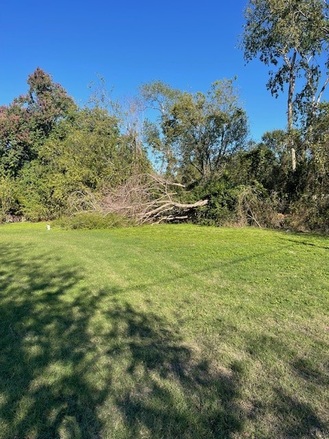 0 Cartersville Street Property Photo 15