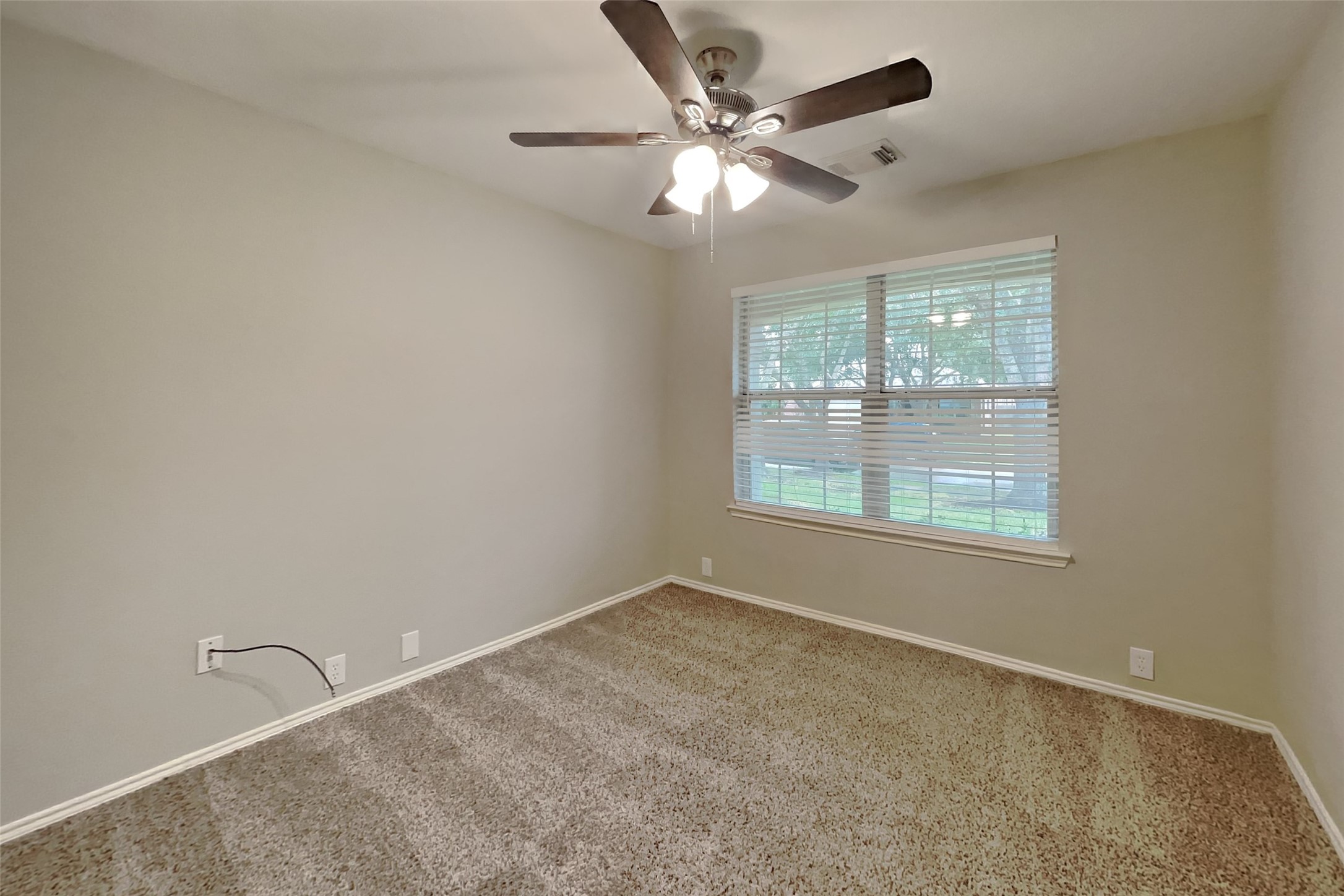 2918 Bison Bluff Property Photo 11