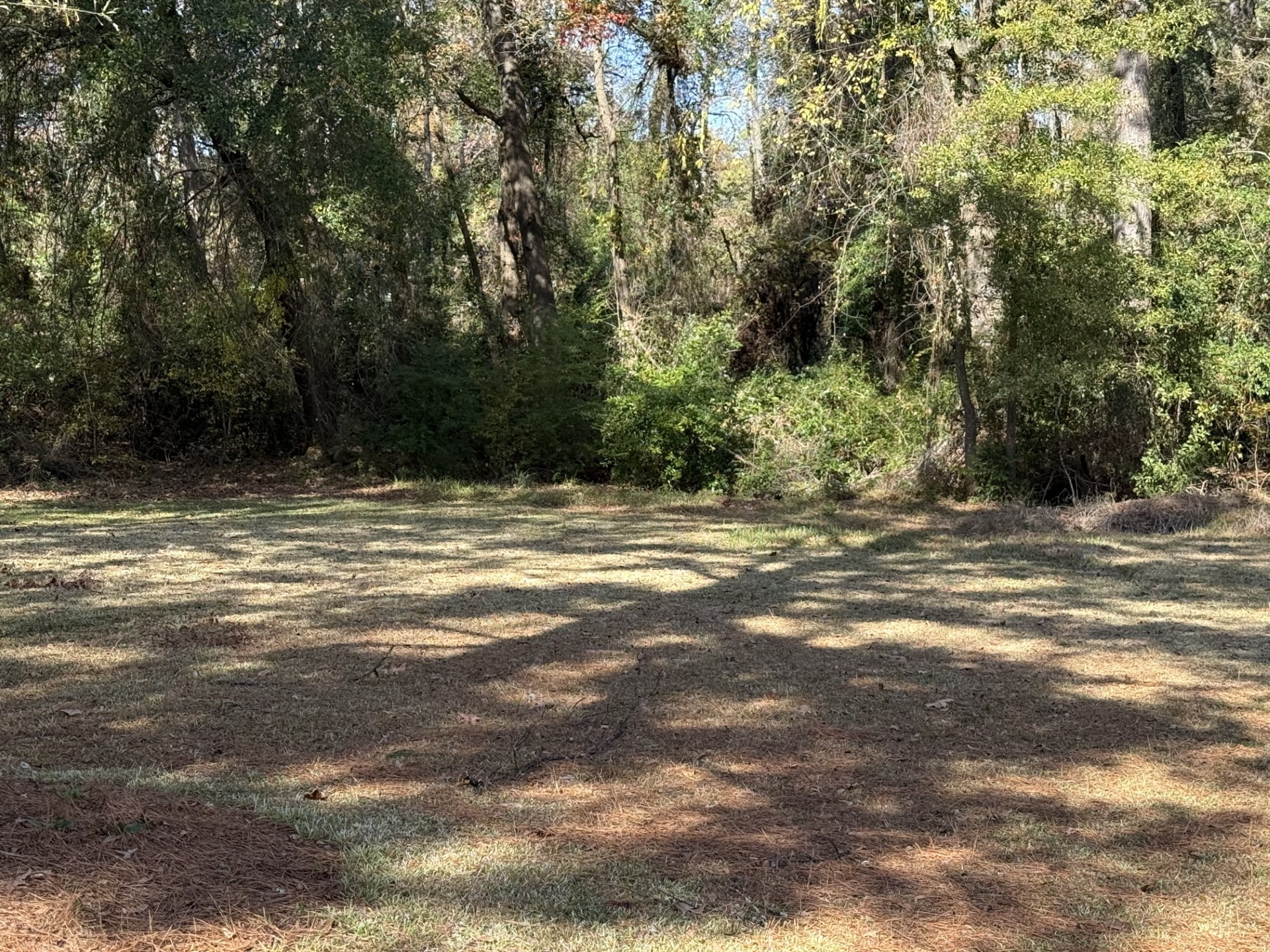 219 Perryman Property Photo 4