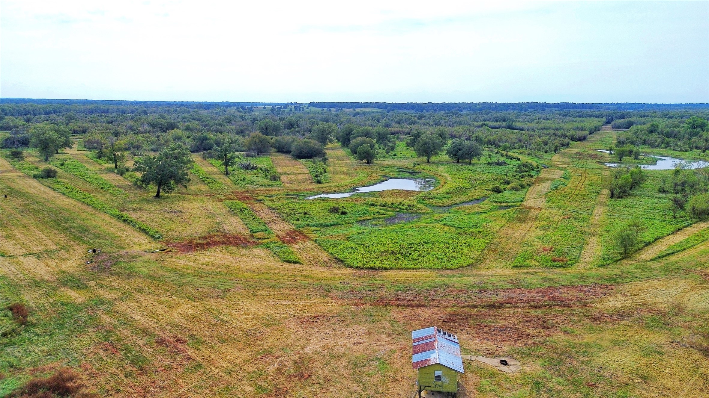 Tbd Cr 155 Property Photo 2