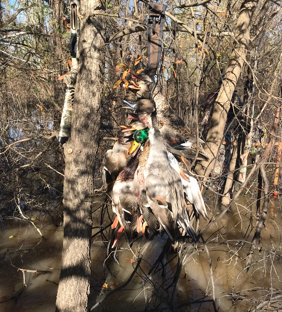 Tbd Cr 155 Property Photo 3