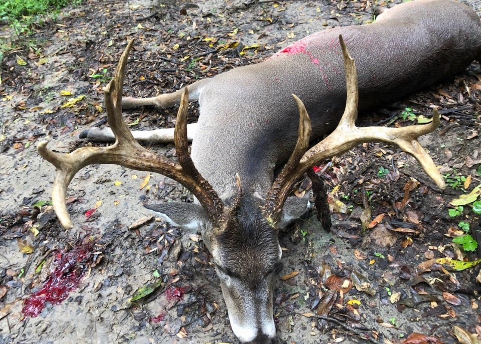 Tbd Cr 155 Property Photo 4