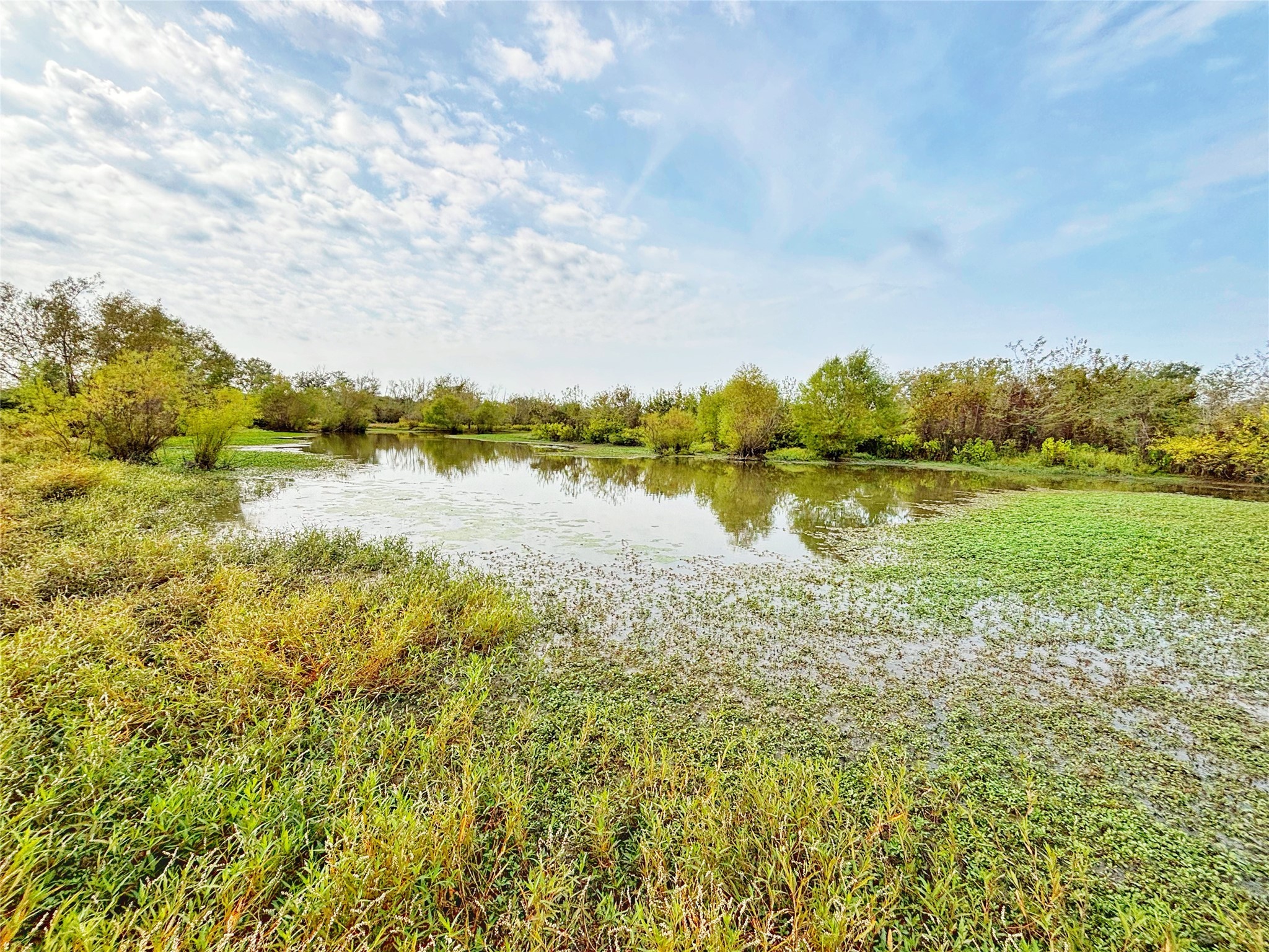 Tbd Cr 155 Property Photo 10