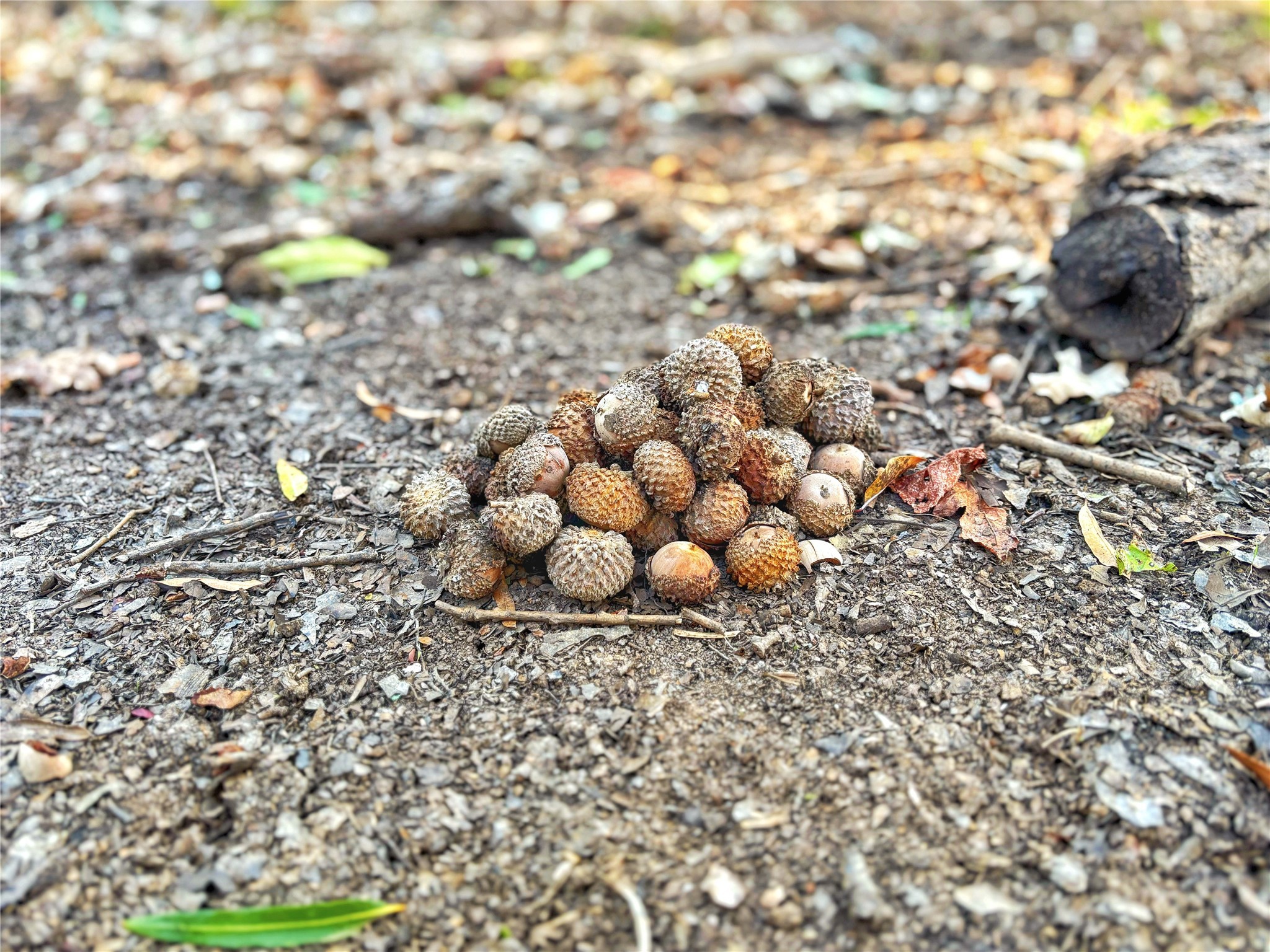 Tbd Cr 155 Property Photo 11