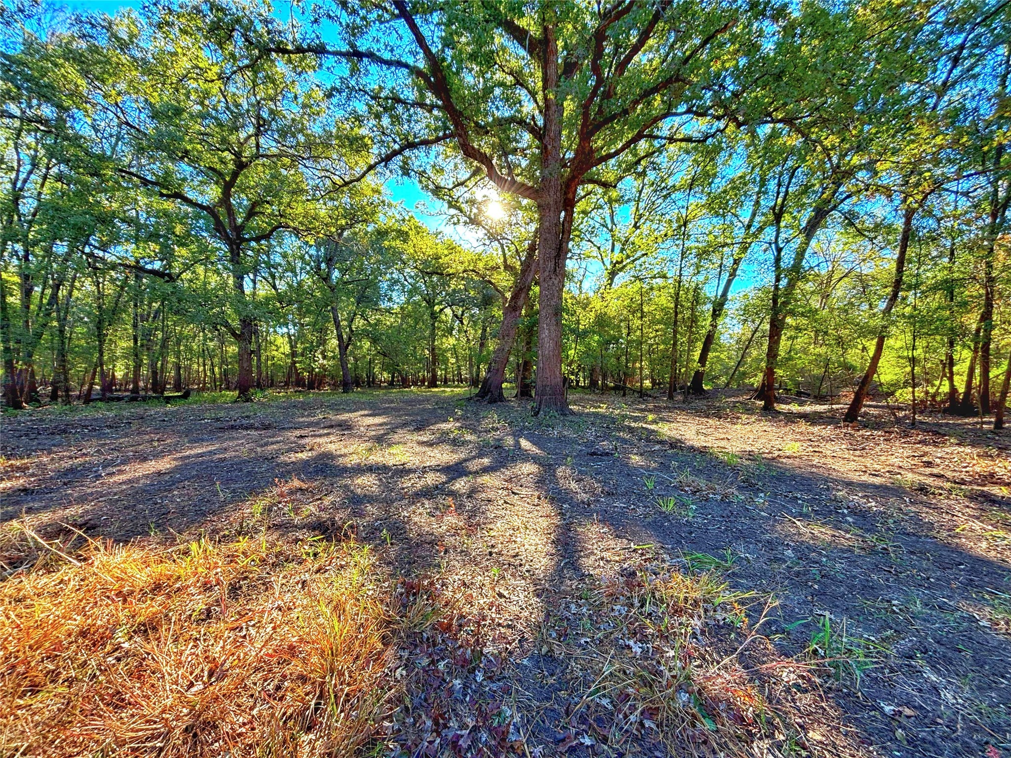 Tbd Cr 155 Property Photo 13