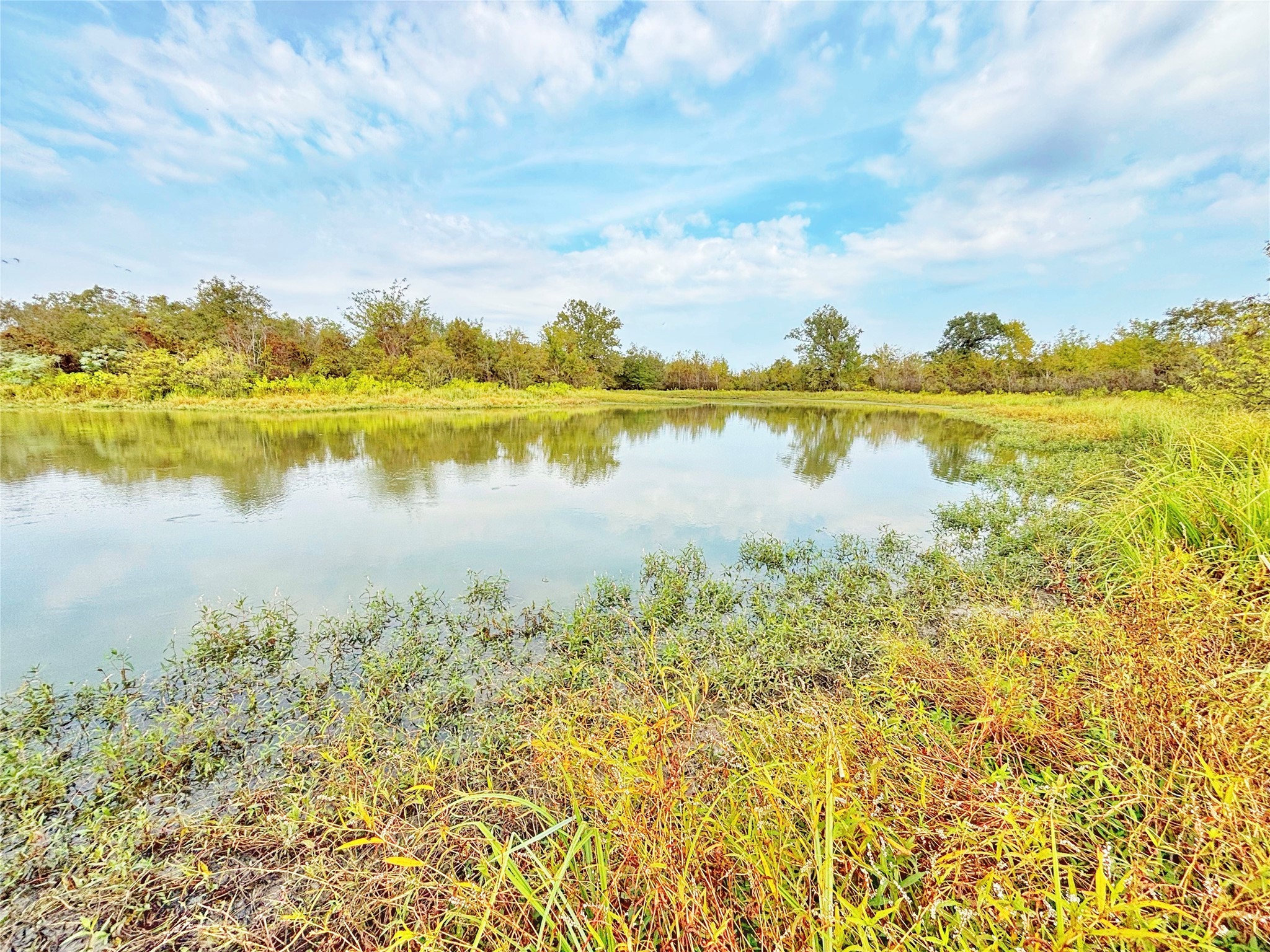 Tbd Cr 155 Property Photo 14