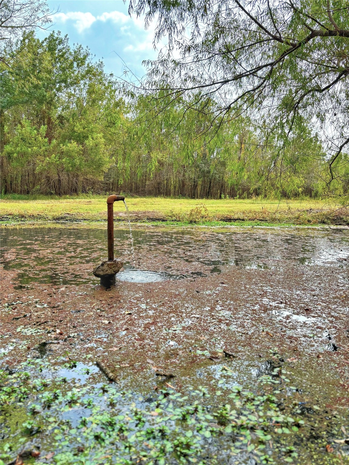 Tbd Cr 155 Property Photo 16