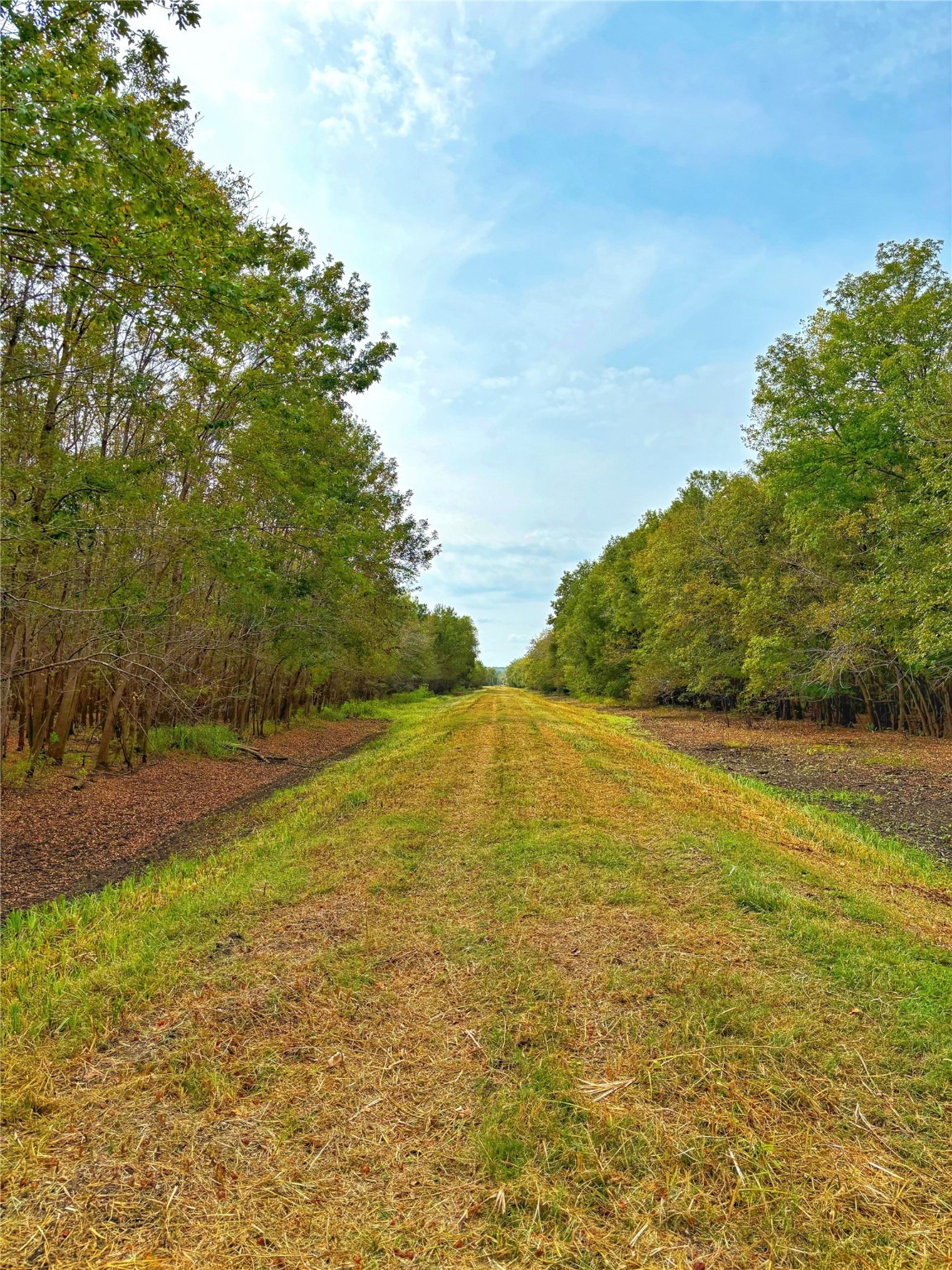 Tbd Cr 155 Property Photo 17