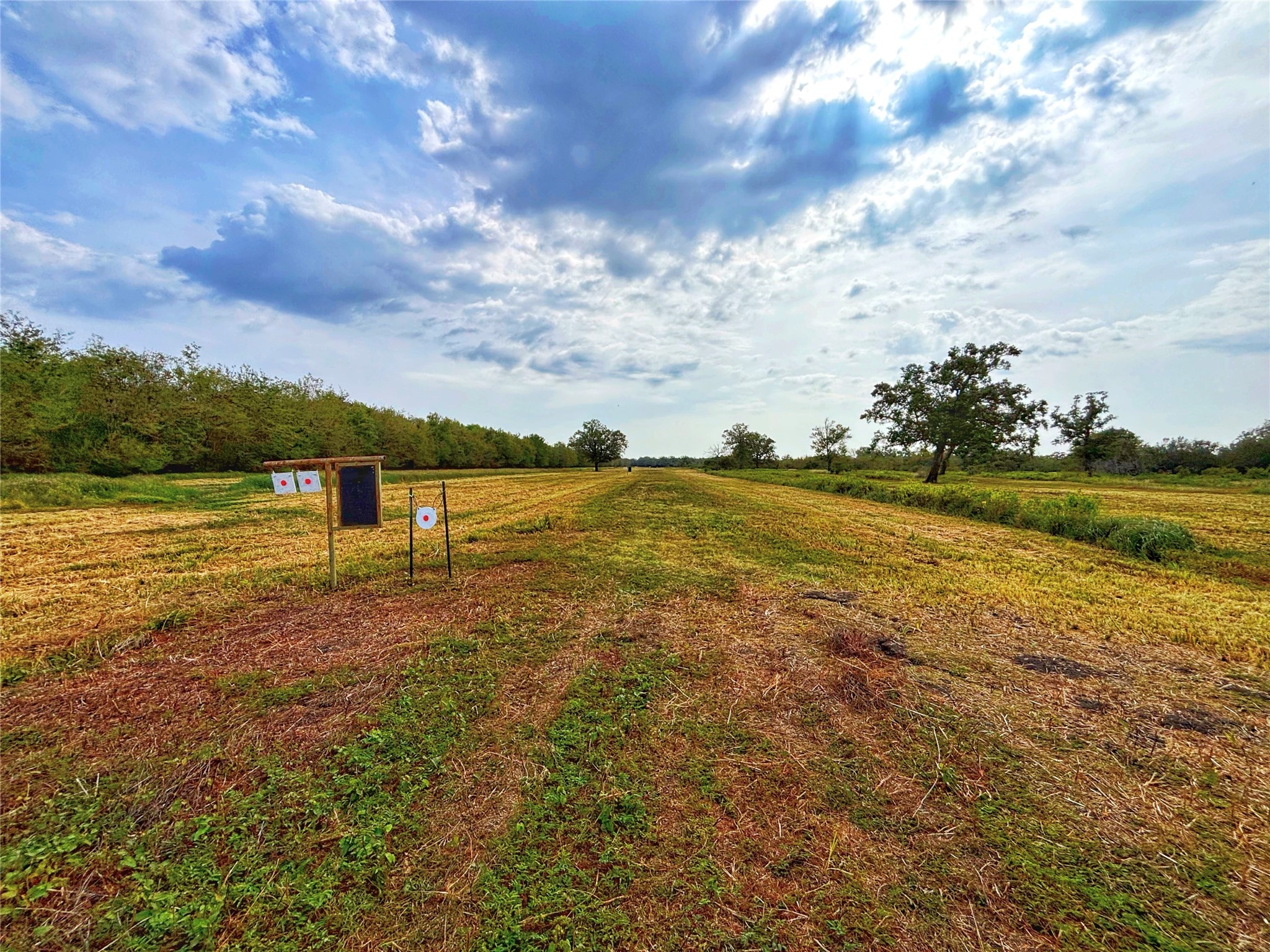 Tbd Cr 155 Property Photo 18