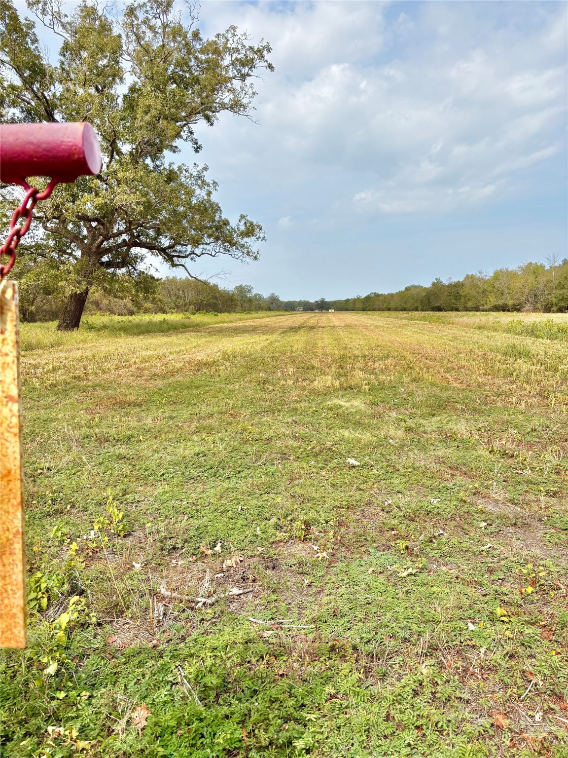 Tbd Cr 155 Property Photo 19