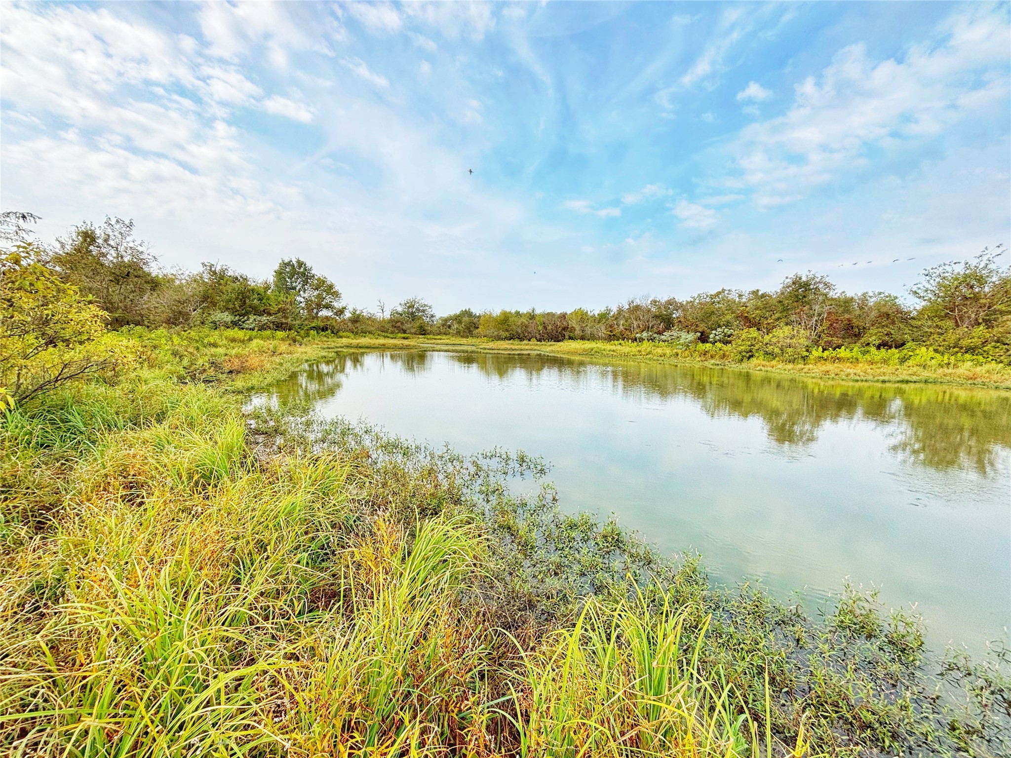 Tbd Cr 155 Property Photo 22