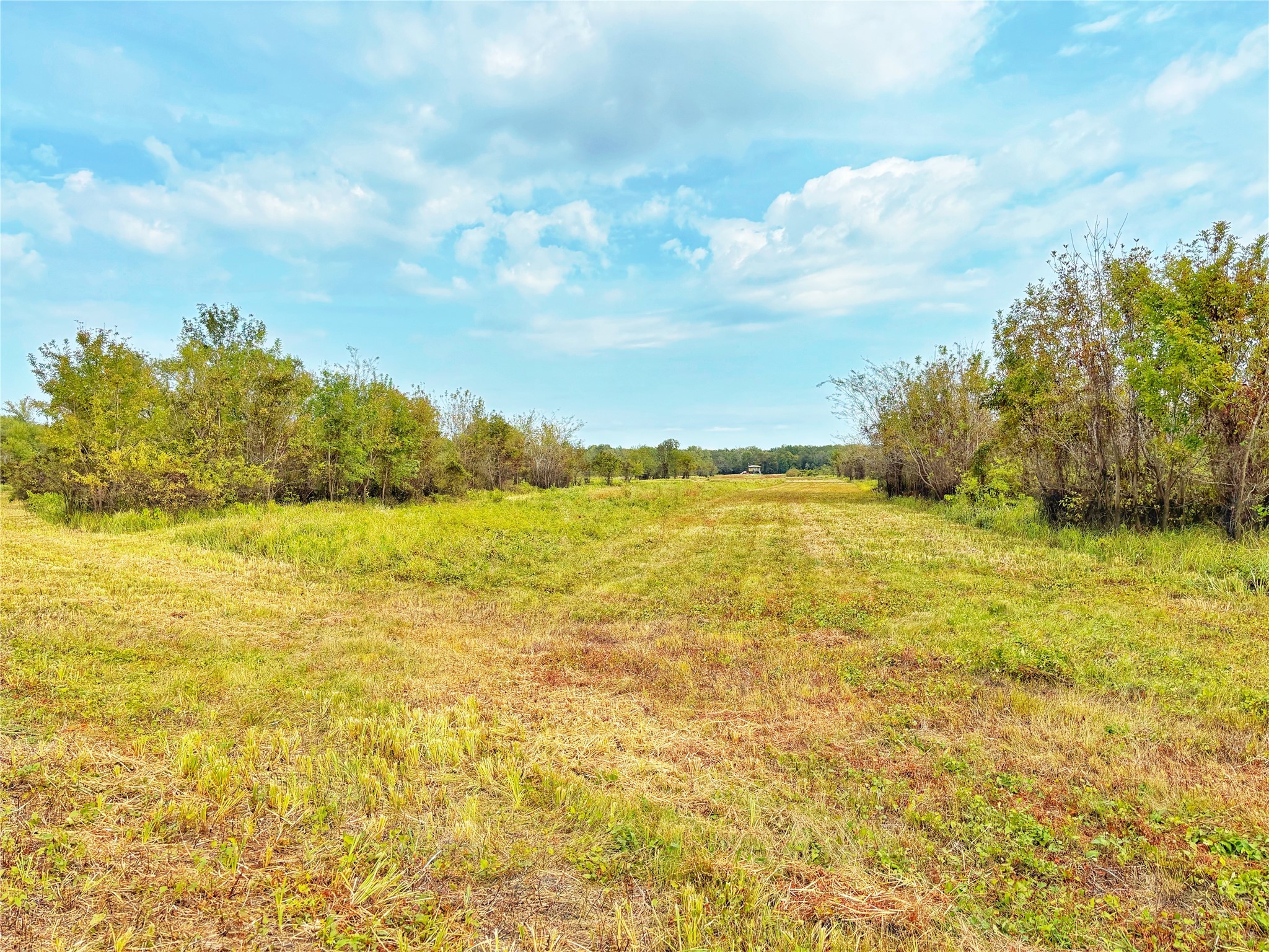 Tbd Cr 155 Property Photo 23