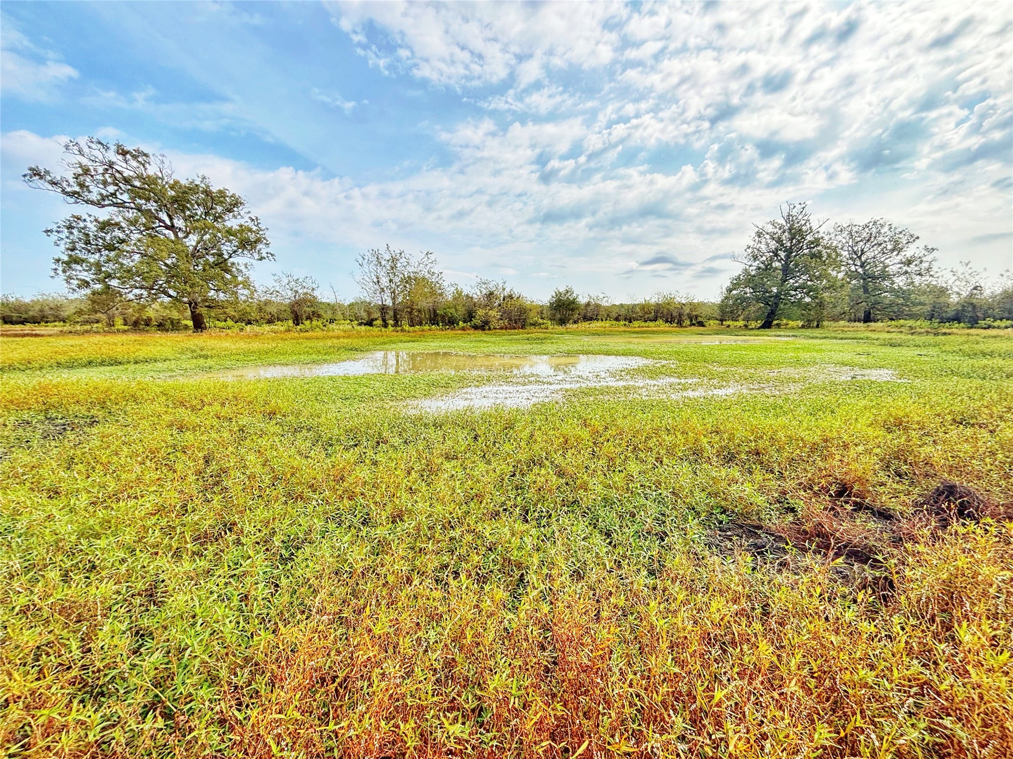 Tbd Cr 155 Property Photo 24